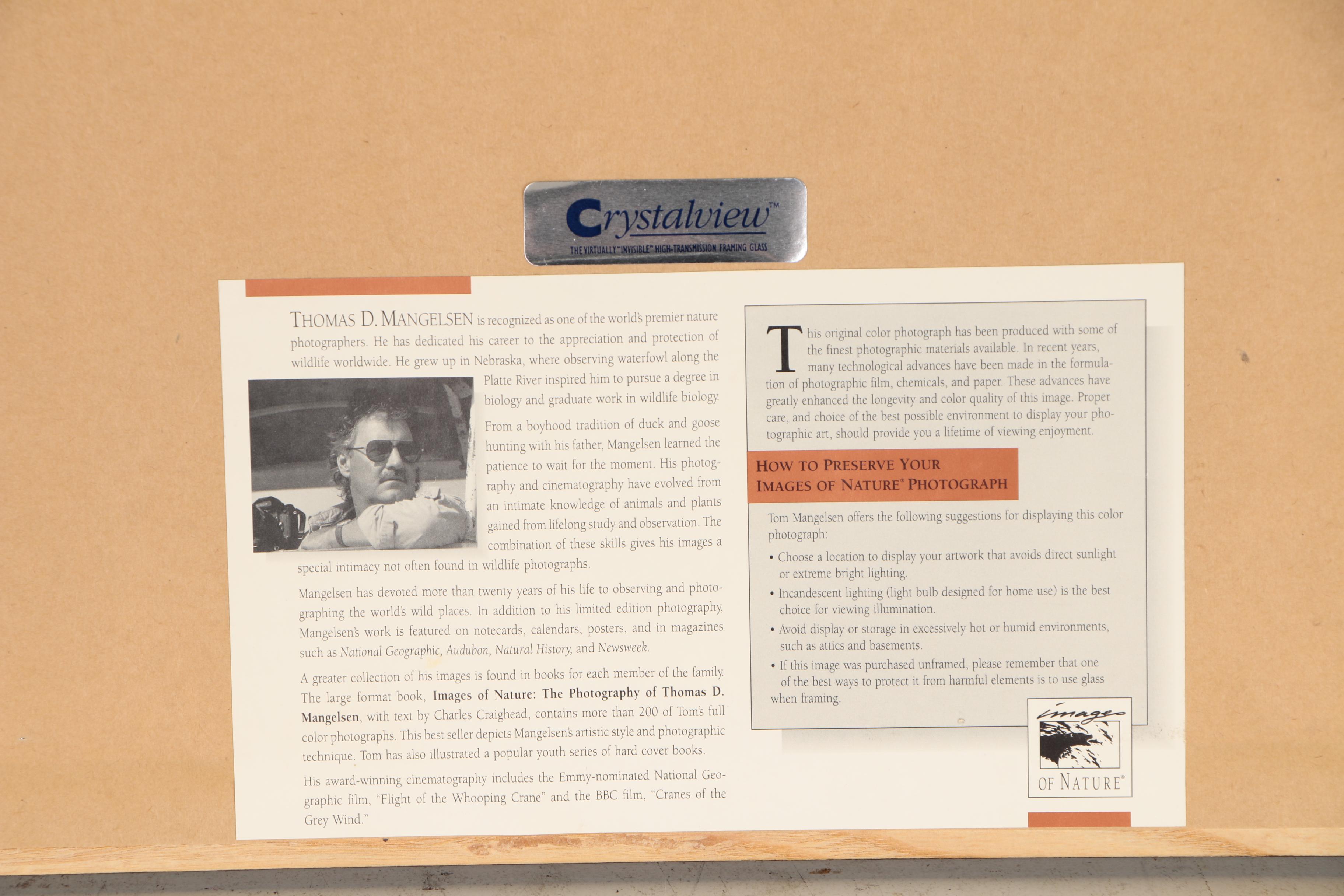 Thomas D. Mangelsen Digital Photograph Polar Bear in the Snow, 1990