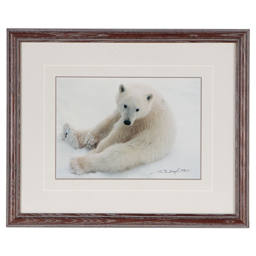 Thomas D. Mangelsen Digital Photograph Polar Bear in the Snow, 1990