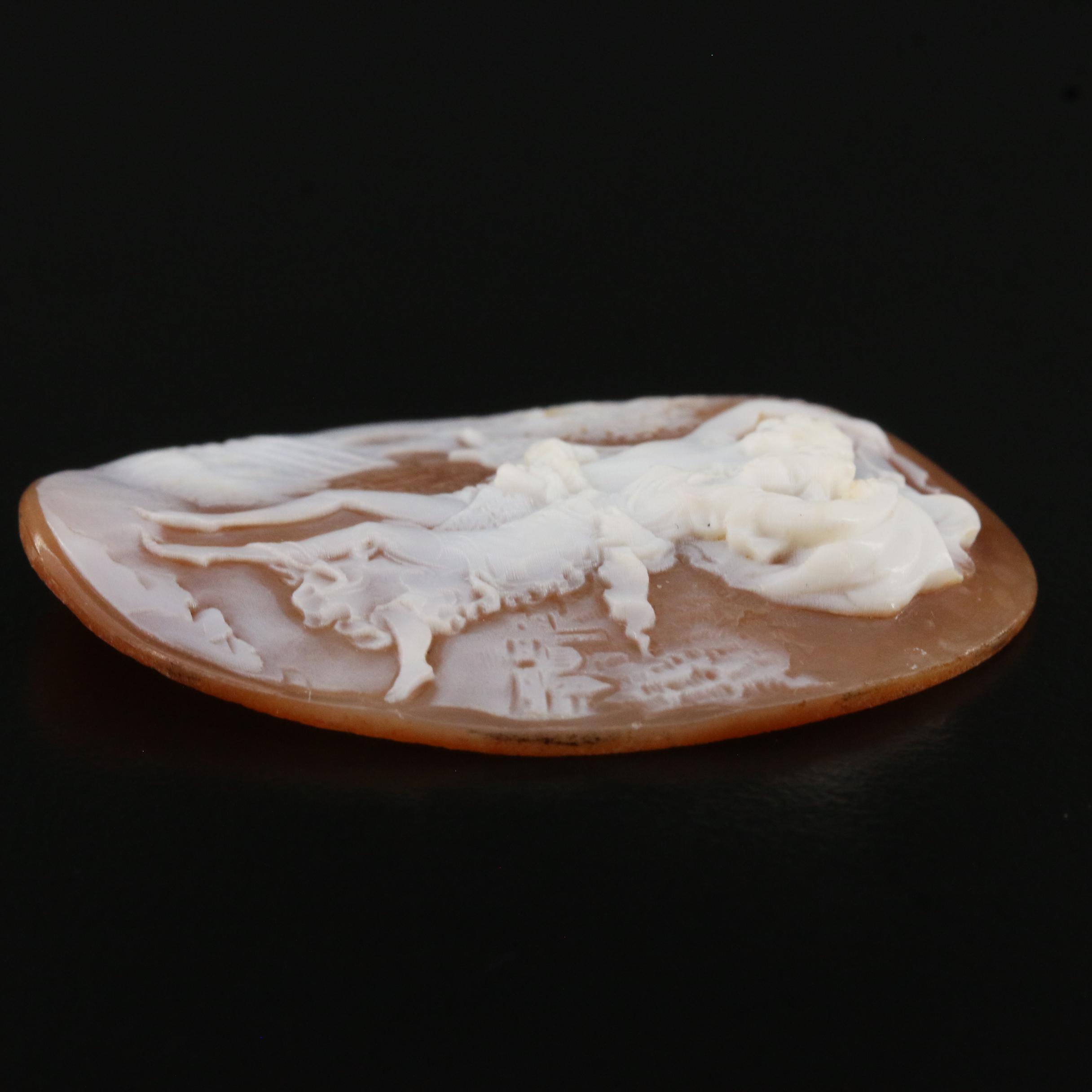 Loose 28.34 CT Helmet Shell Cameo