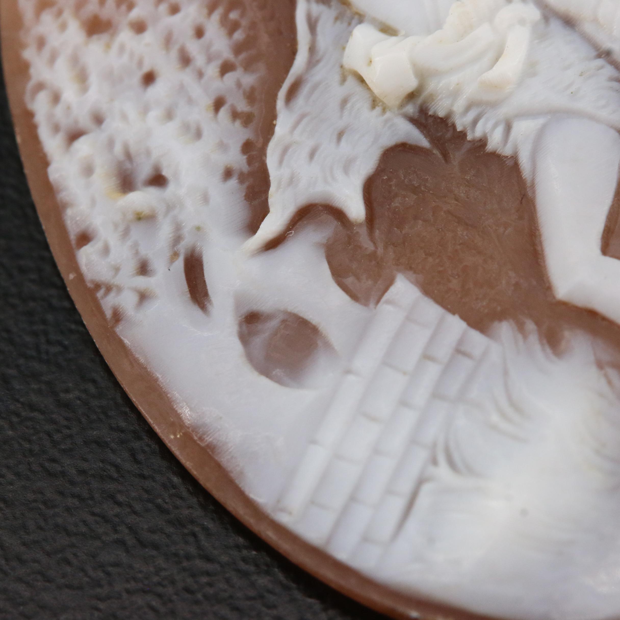 Loose 28.34 CT Helmet Shell Cameo