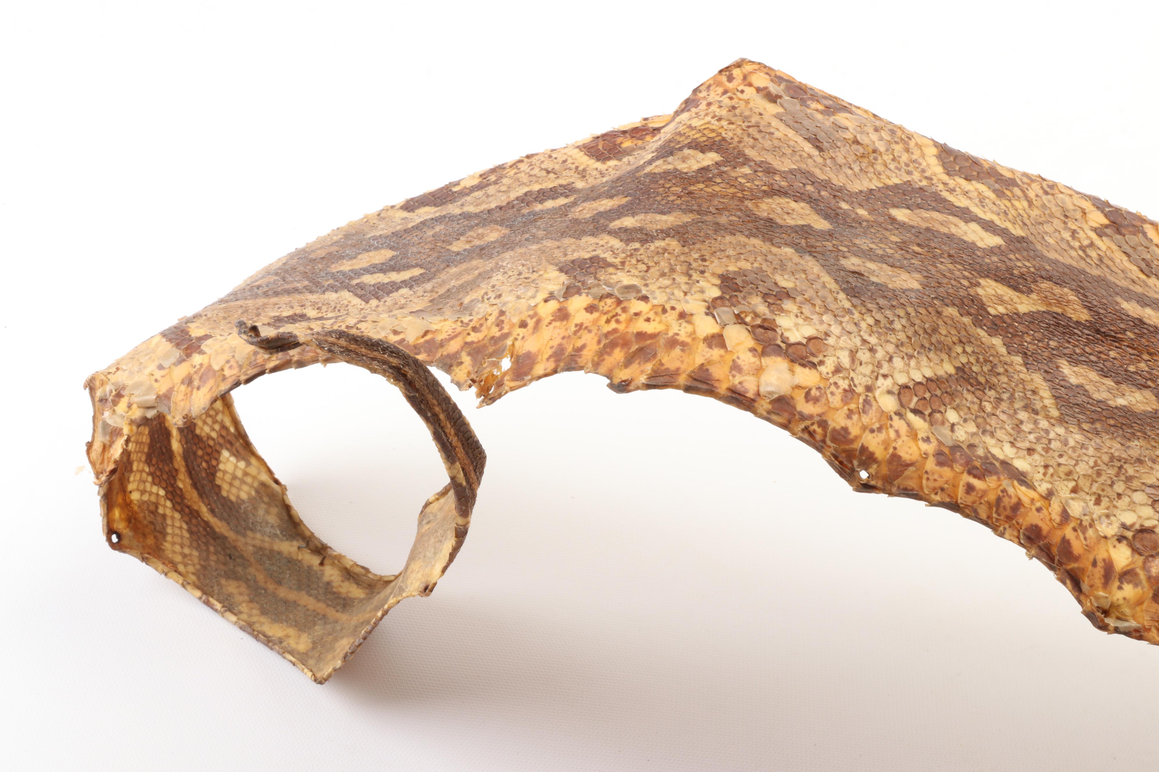 South East Asian Reticulated Python Hide