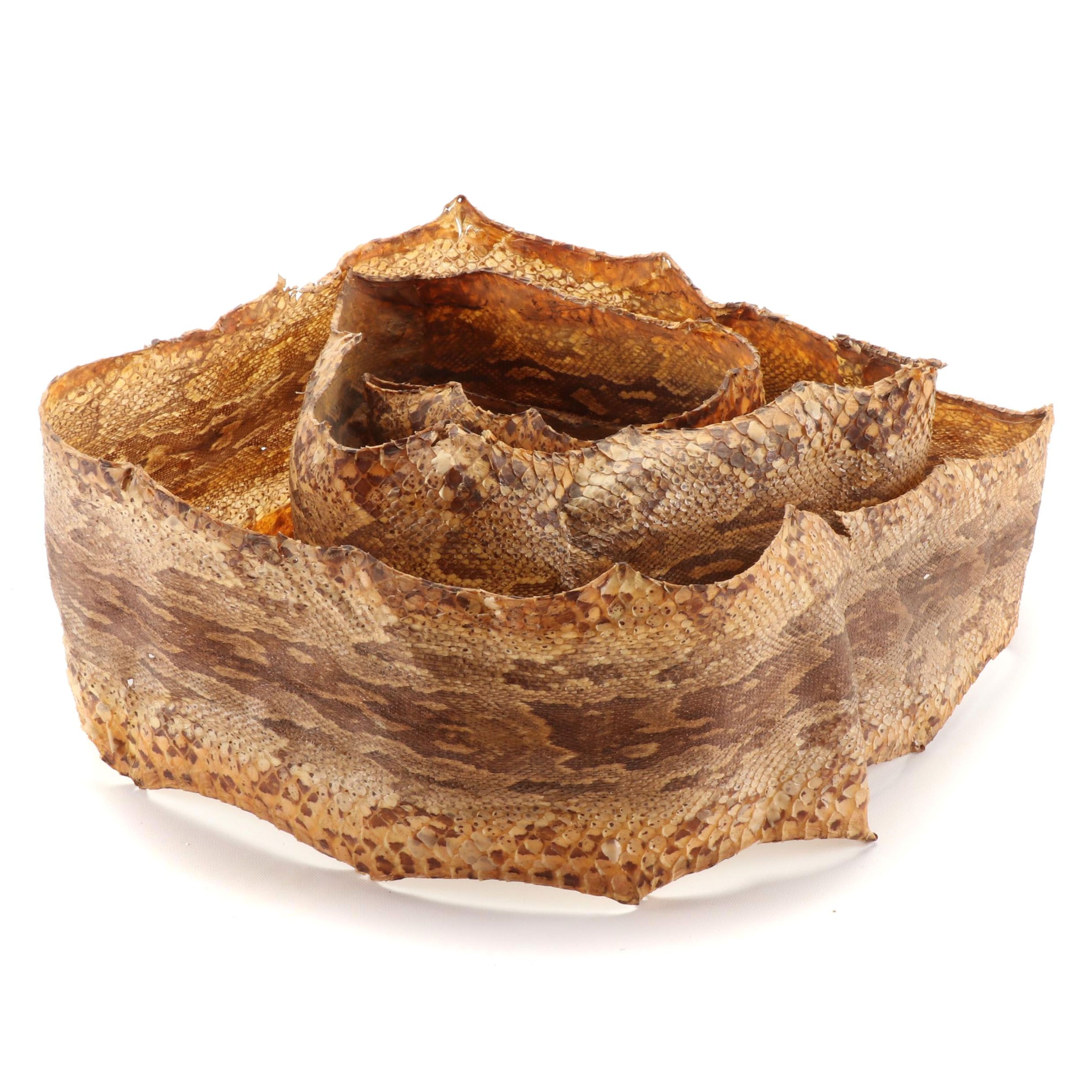 South East Asian Reticulated Python Hide