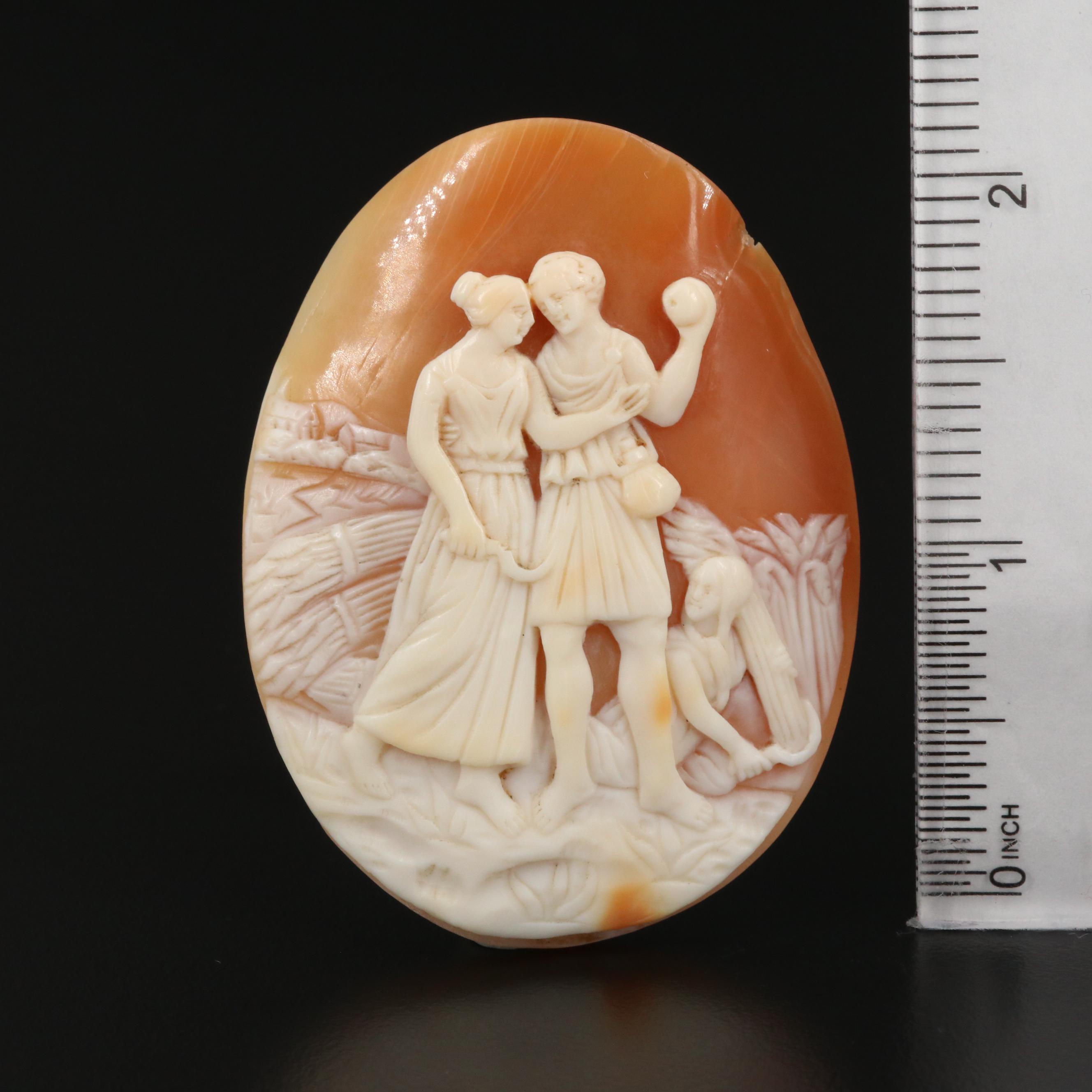 Loose Oval Shell Cameo