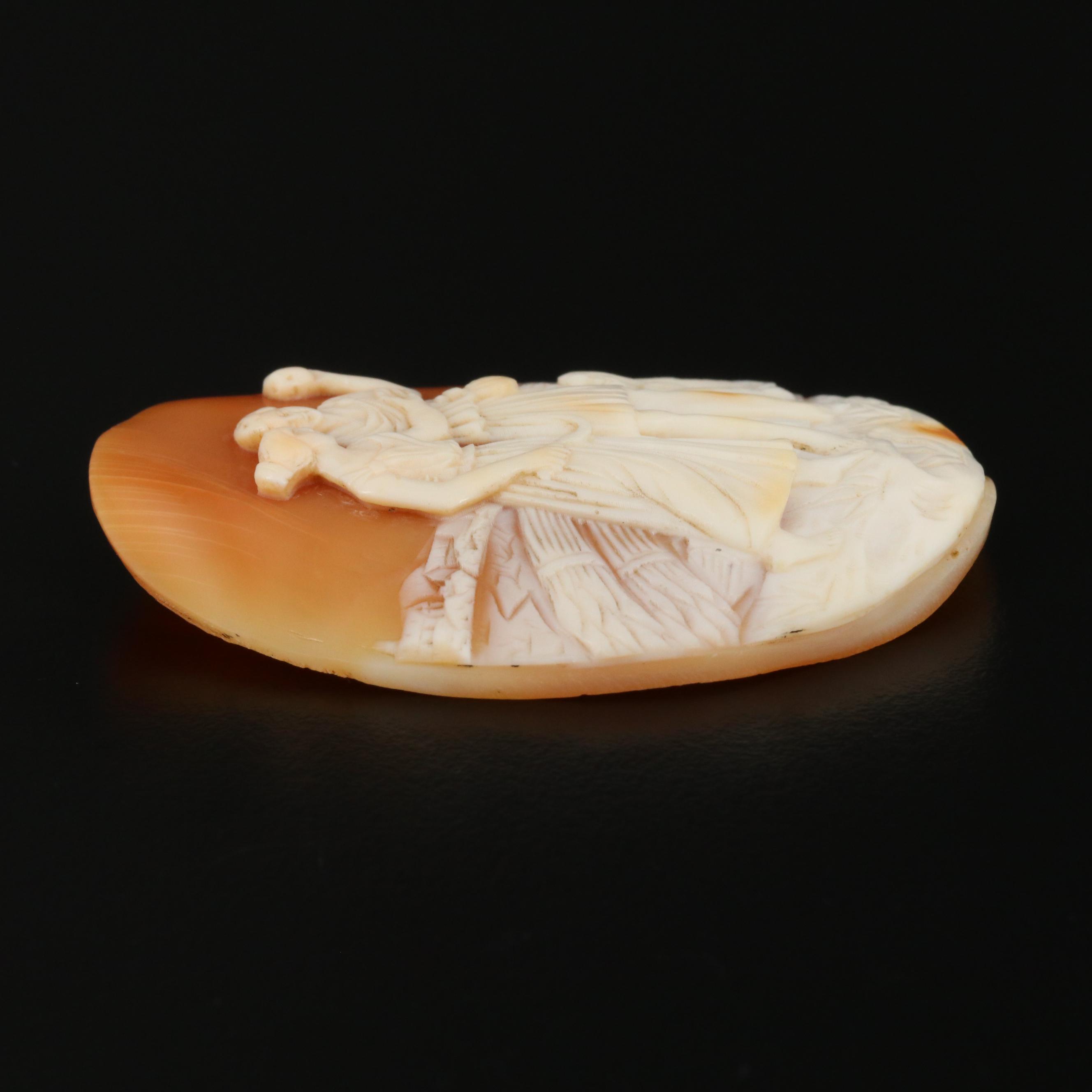 Loose Oval Shell Cameo