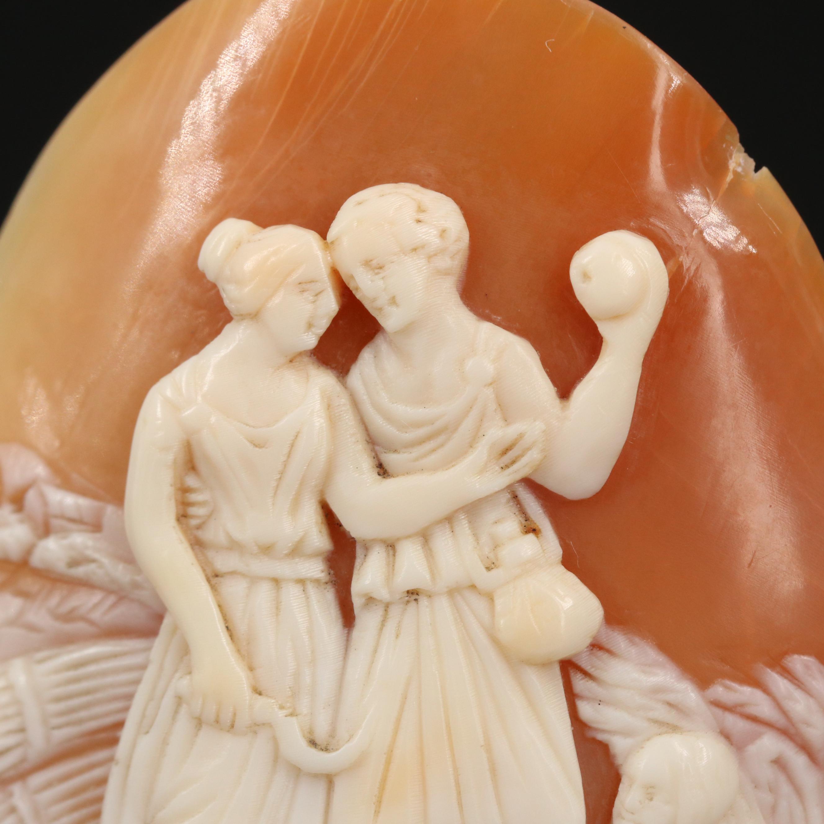 Loose Oval Shell Cameo