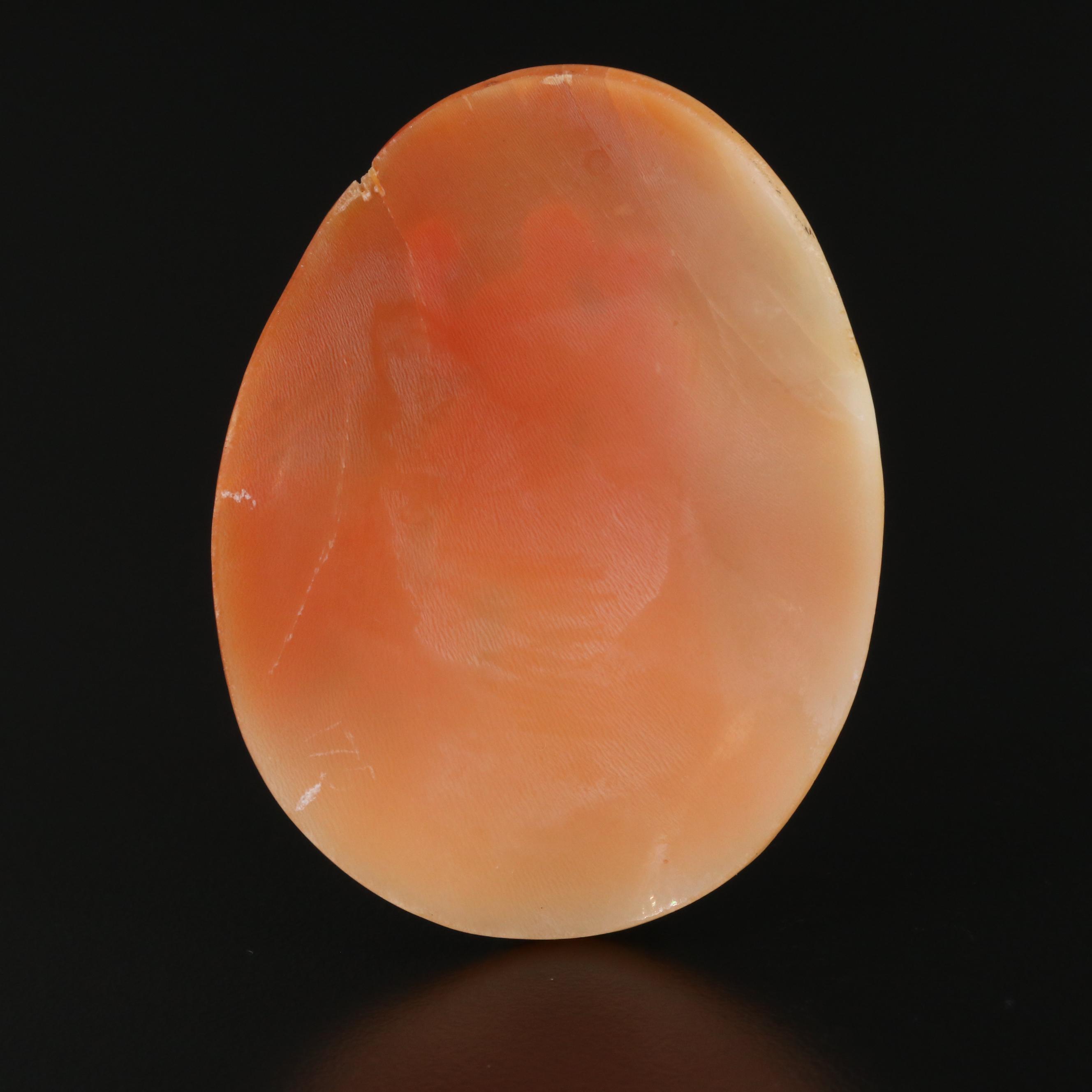Loose Oval Shell Cameo