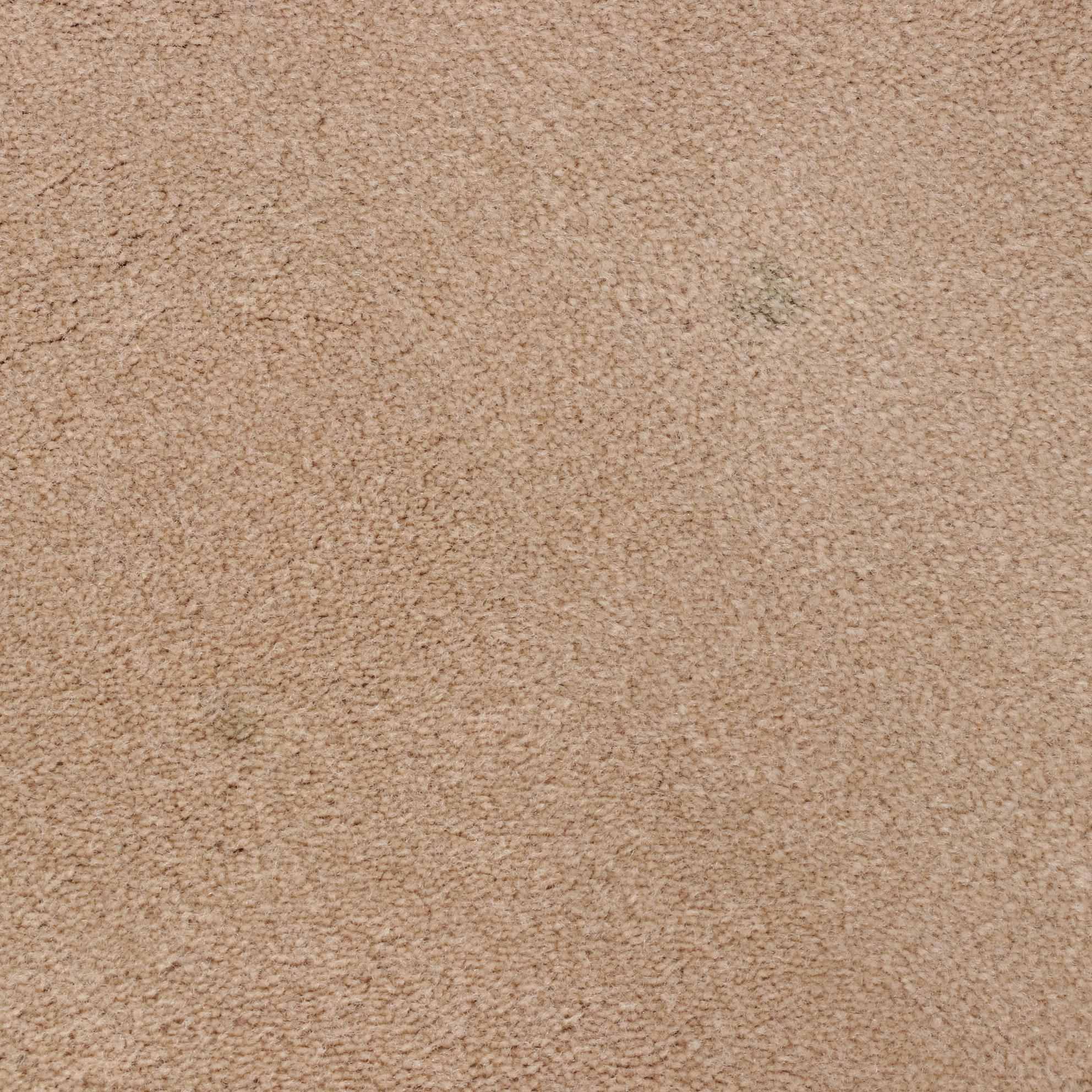 10'1 x 13'11 Machine Made Masland Area Rug