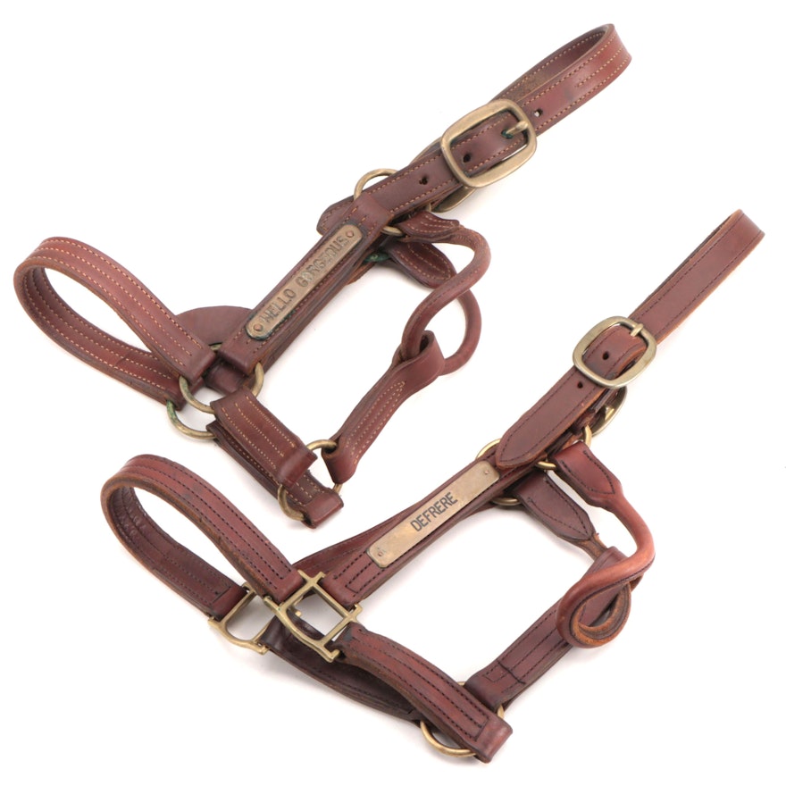 Racehorses "Hello Gorgeous" and "DeFrere" Leather Turnout Halters, Brass Plates