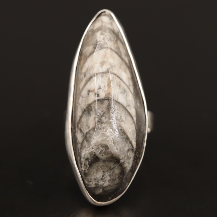 Sterling Silver Fossilized Cephalopod Ring
