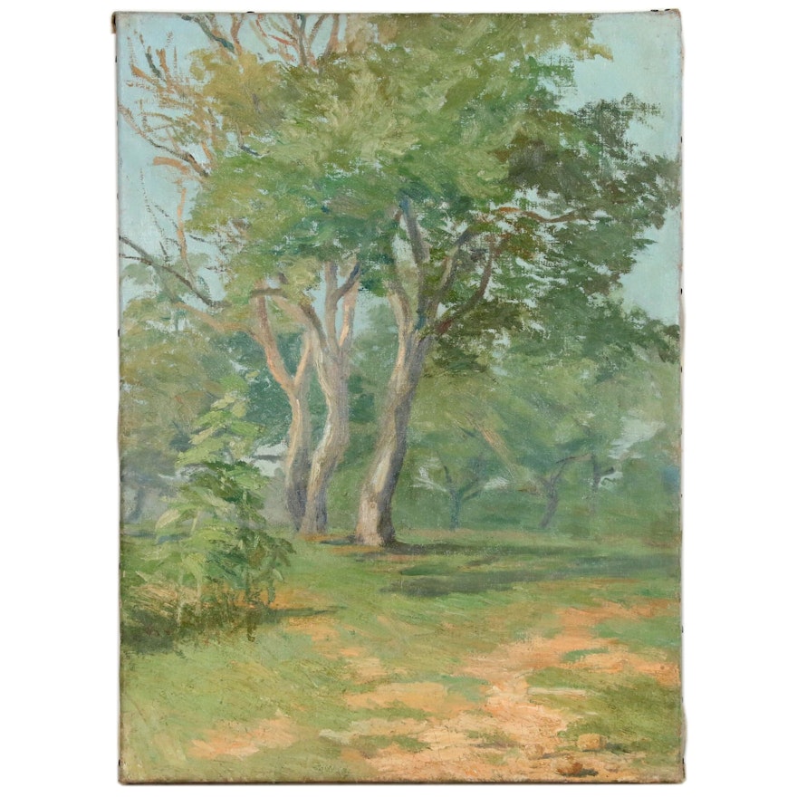 Landscape Oil Painting of Grove of Trees