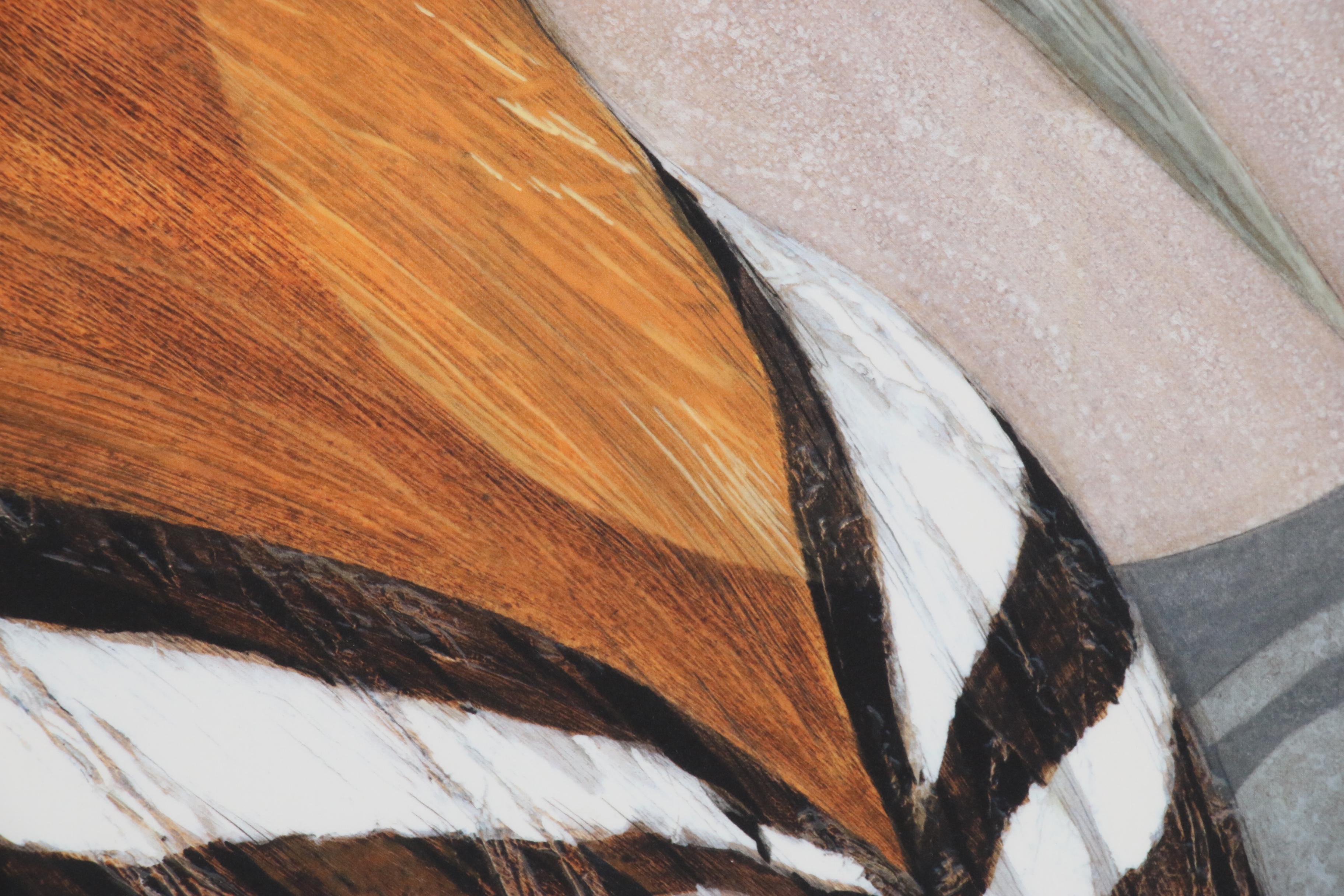 Arlene M. Voelker Giclée "Hoopoe", 21st Century