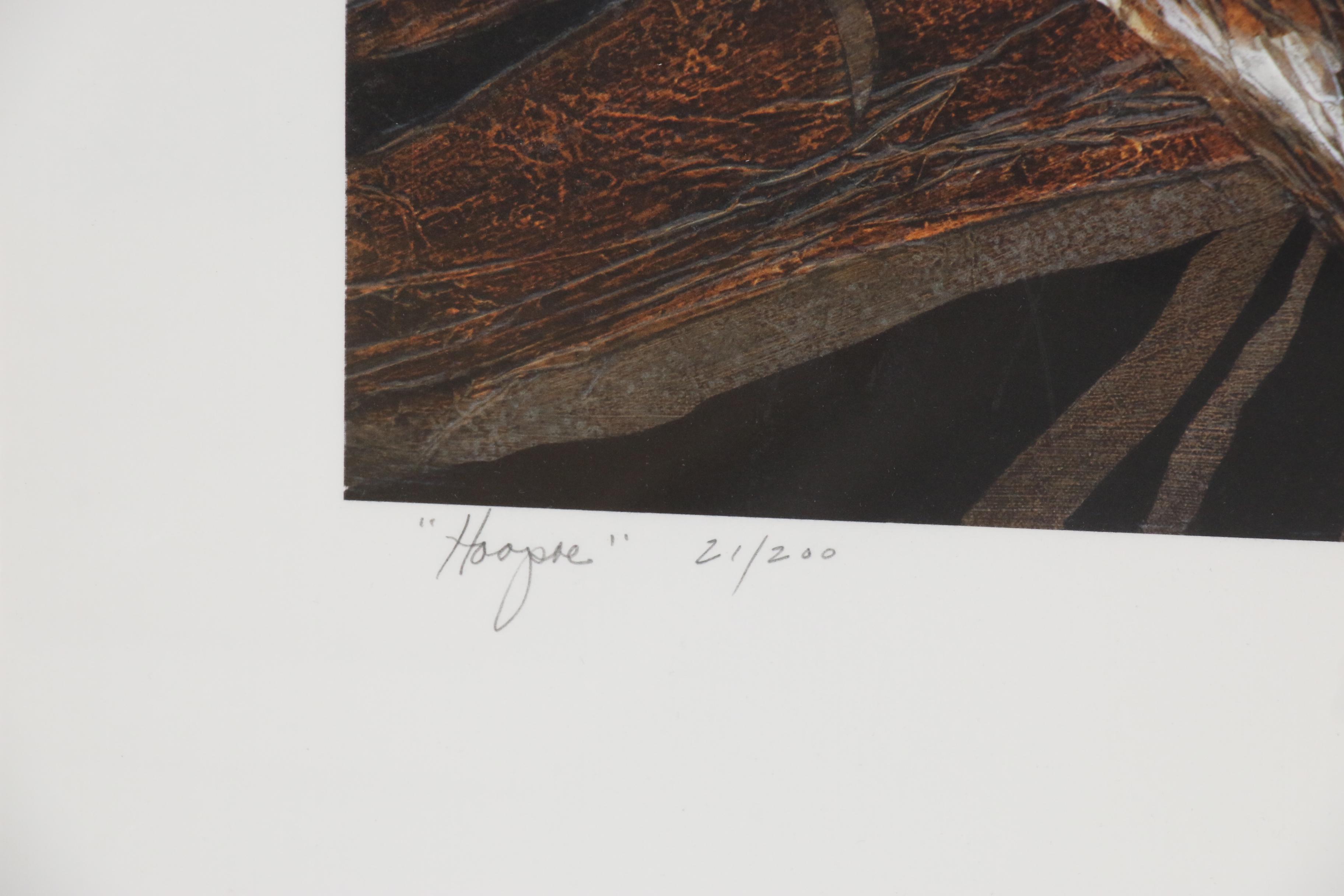 Arlene M. Voelker Giclée "Hoopoe", 21st Century