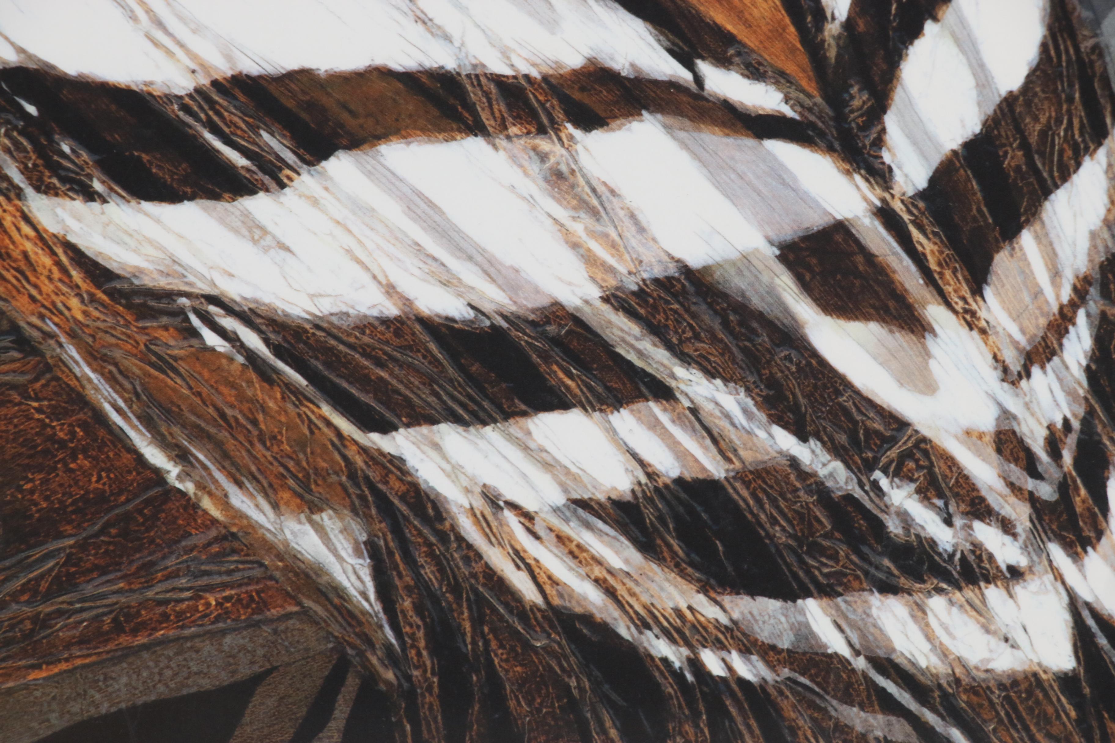 Arlene M. Voelker Giclée "Hoopoe", 21st Century