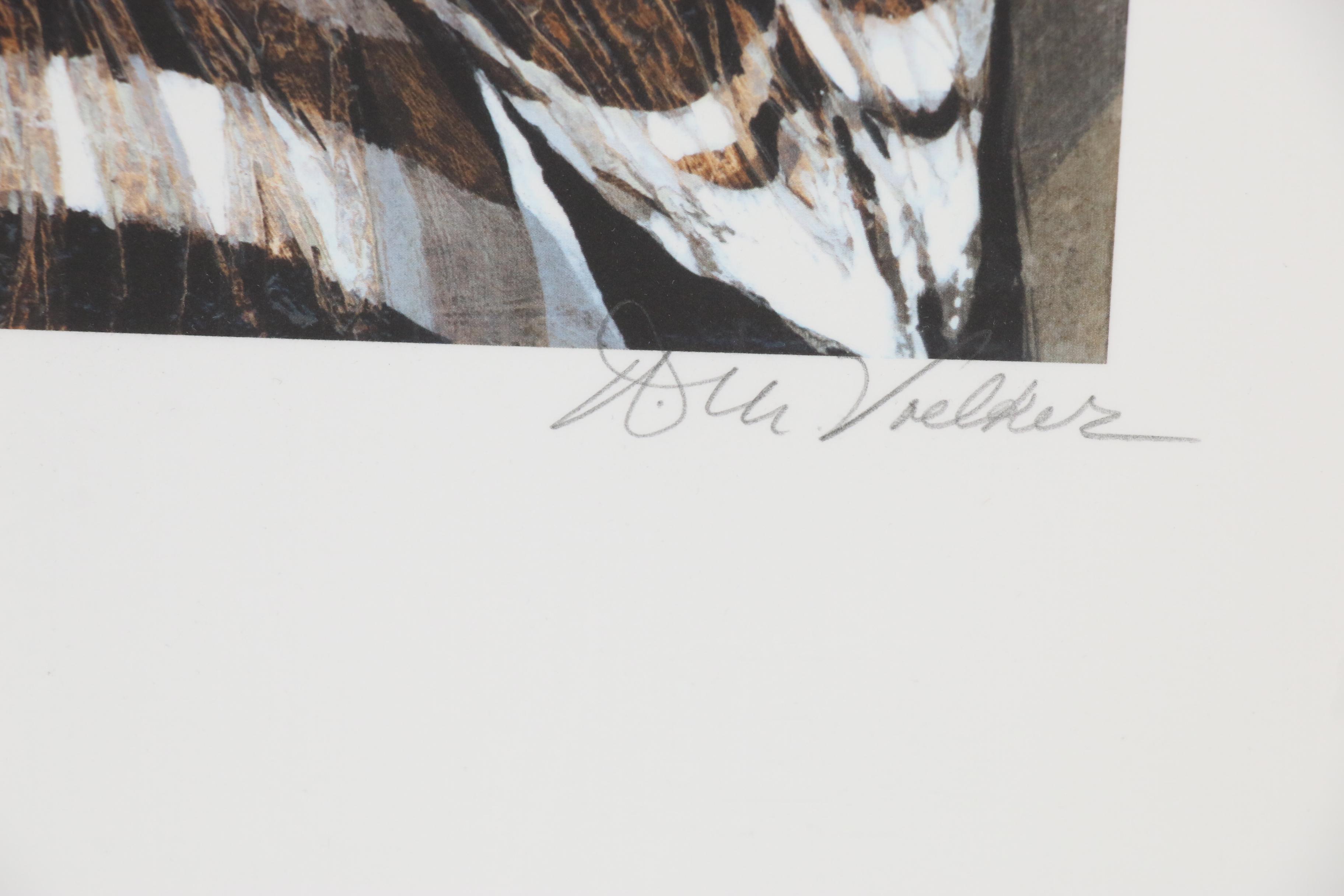 Arlene M. Voelker Giclée "Hoopoe", 21st Century