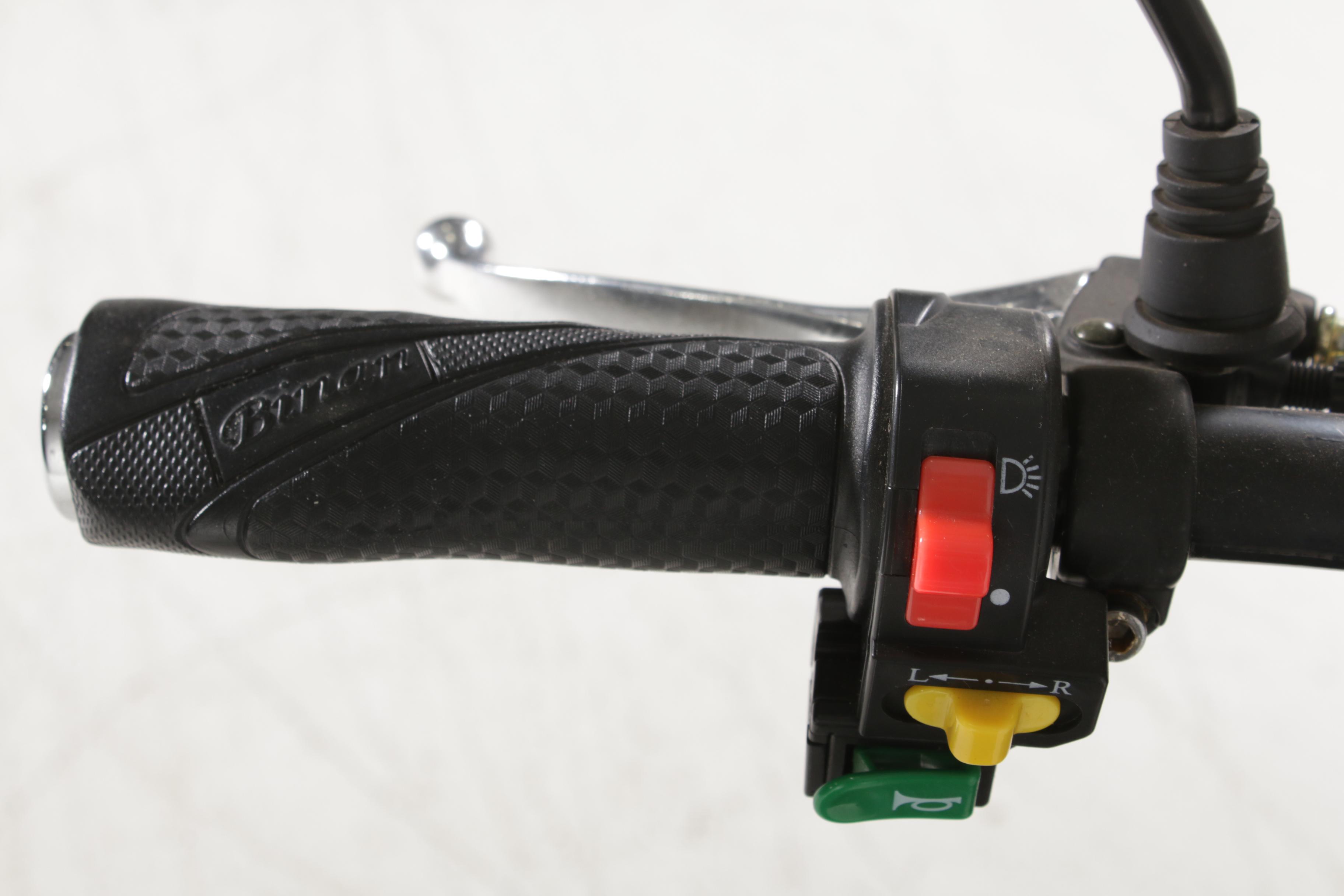 Green-Power Classic-5 Electric Bicycle