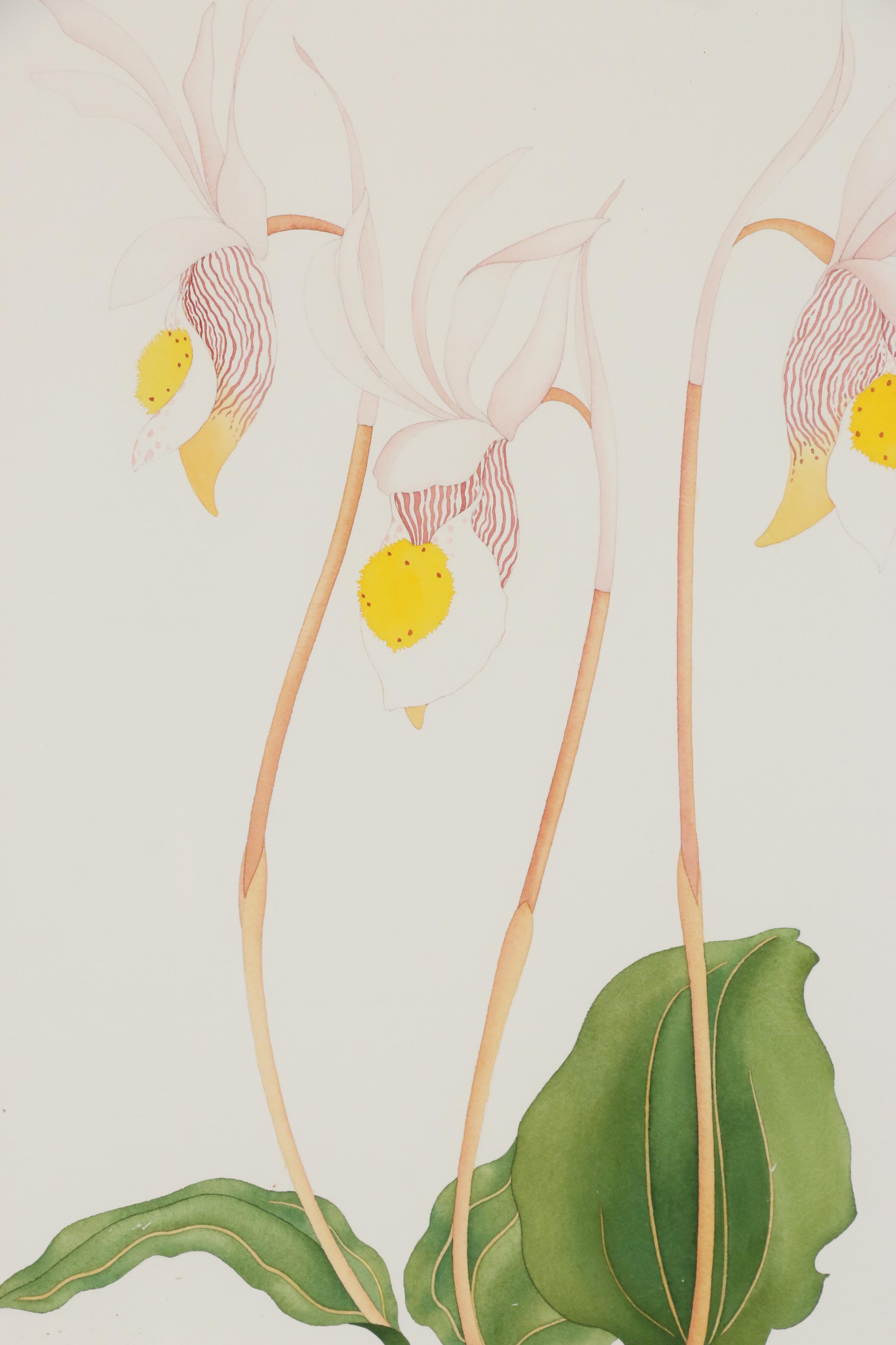 Amy C. Storey Botanical Watercolor Painting of Orchids, 1980