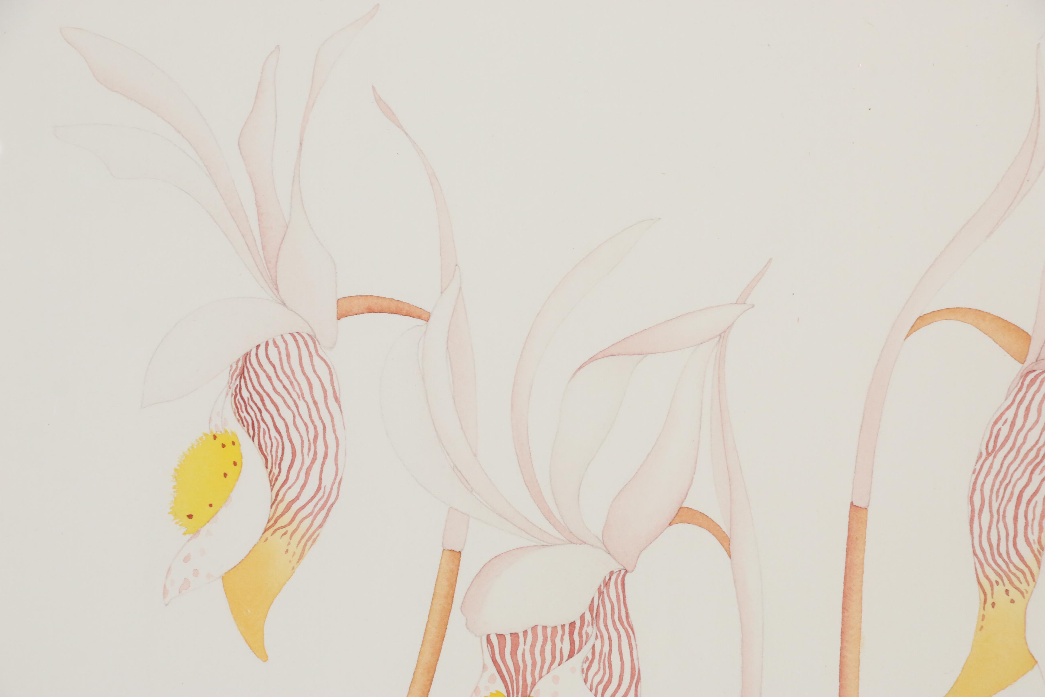 Amy C. Storey Botanical Watercolor Painting of Orchids, 1980