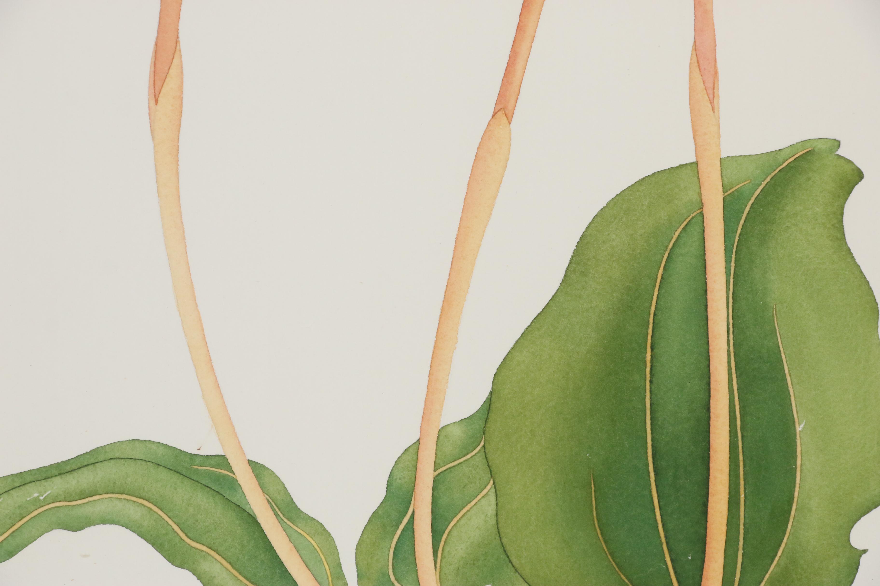 Amy C. Storey Botanical Watercolor Painting of Orchids, 1980