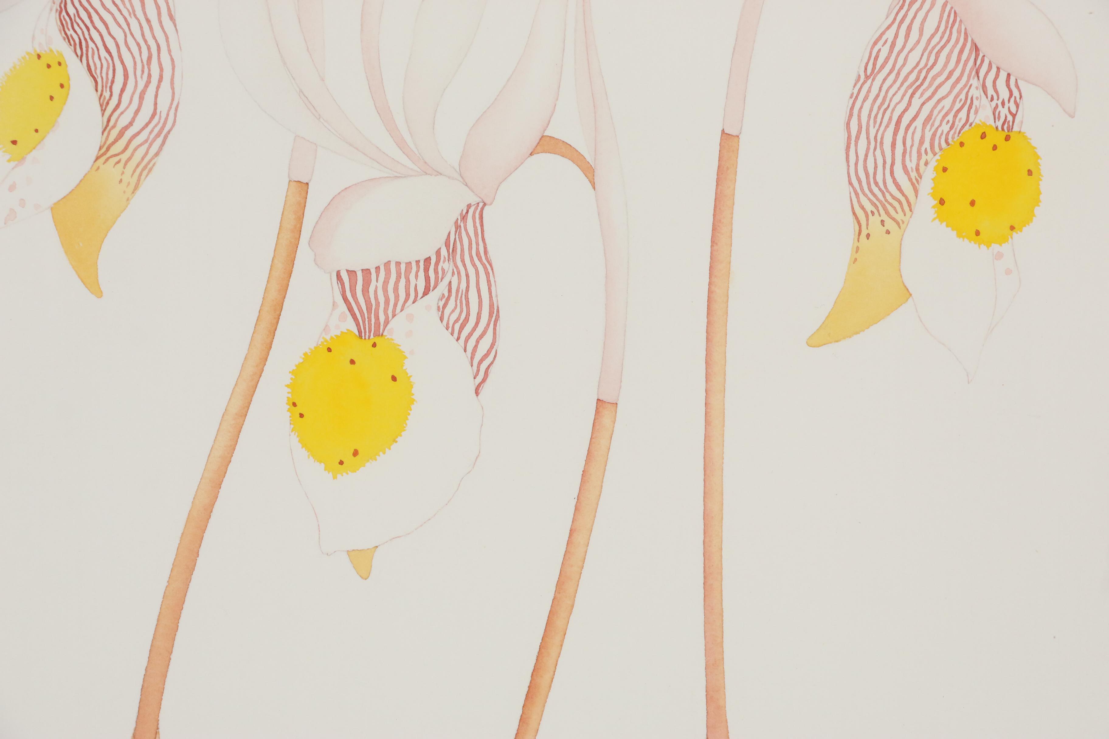 Amy C. Storey Botanical Watercolor Painting of Orchids, 1980