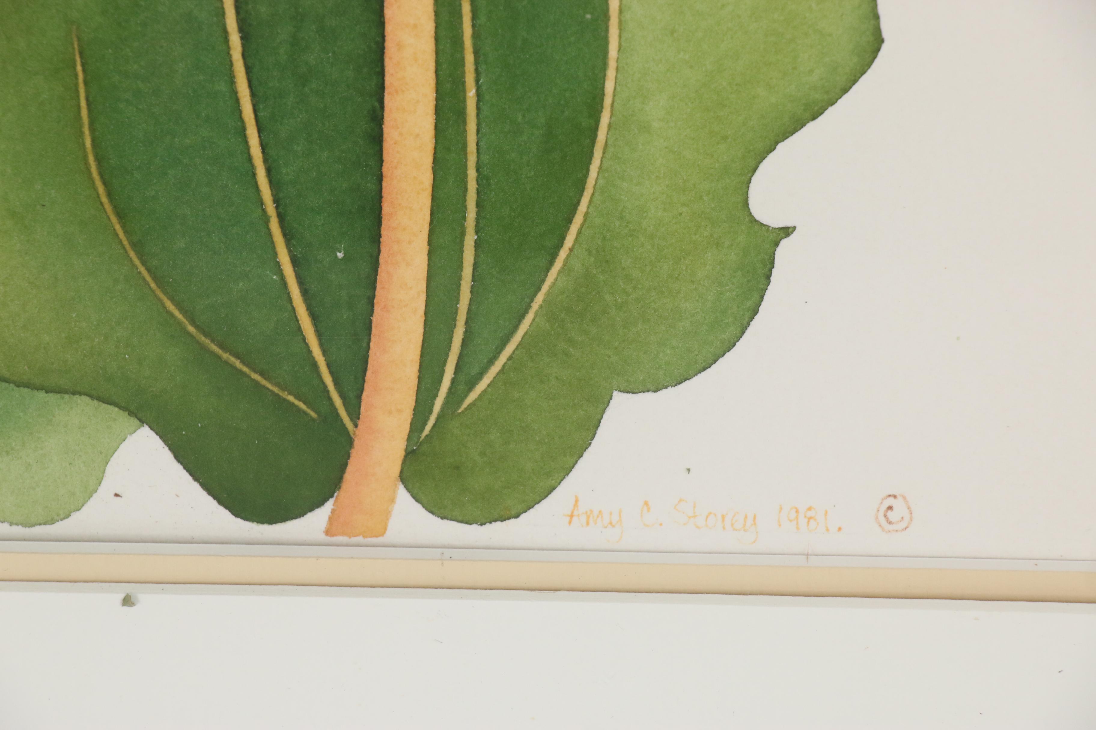 Amy C. Storey Botanical Watercolor Painting of Orchids, 1980