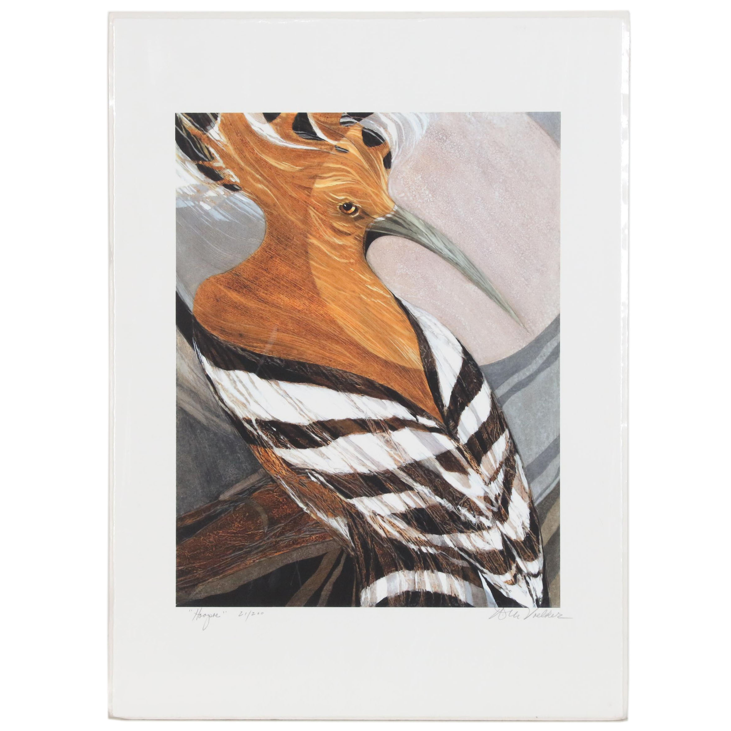 Arlene M. Voelker Giclée "Hoopoe", 21st Century