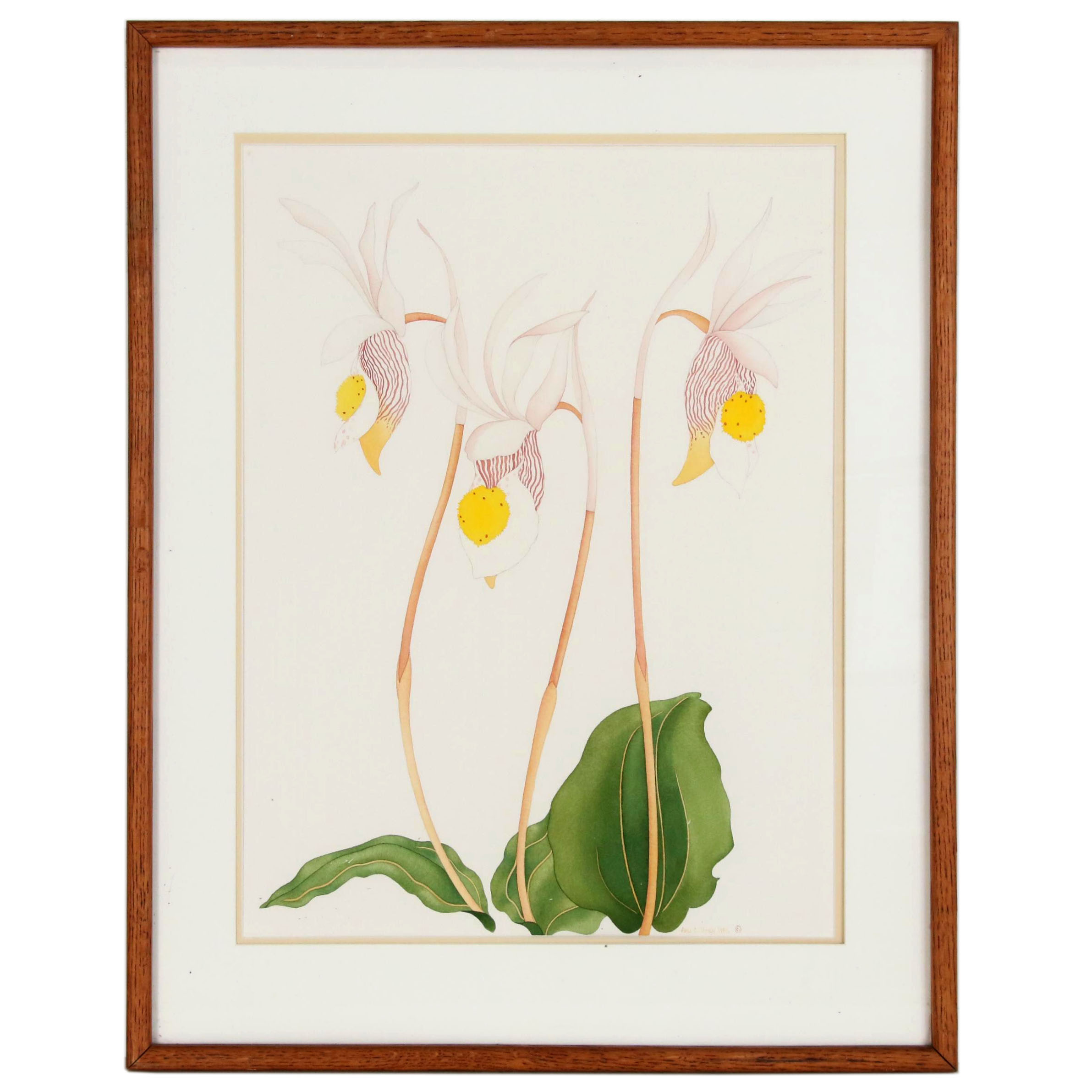 Amy C. Storey Botanical Watercolor Painting of Orchids, 1980