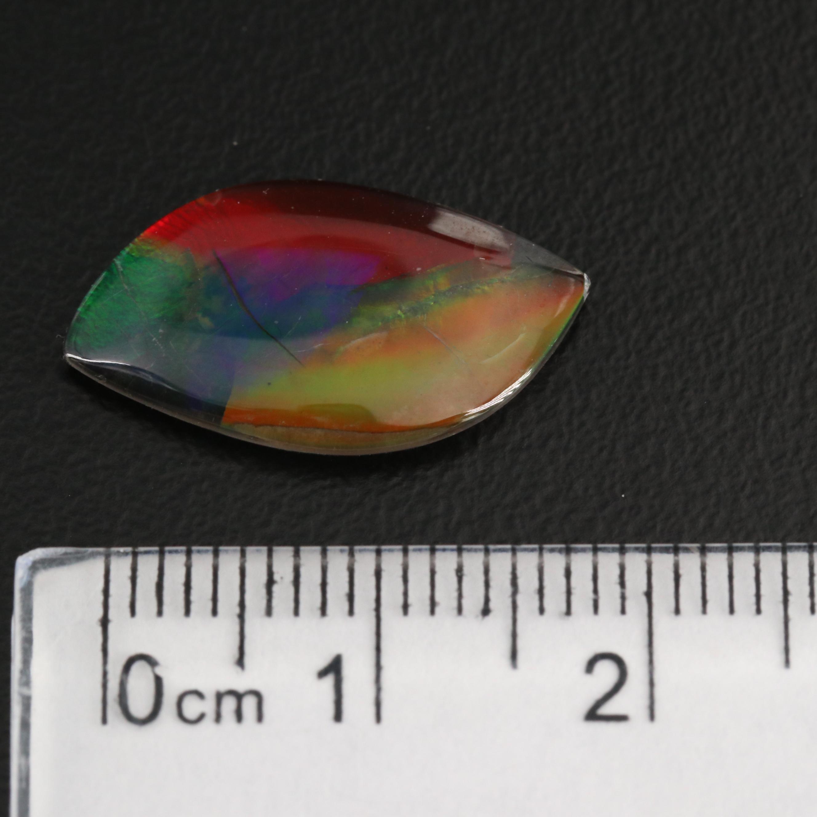 Loose Leaf Cabochon Ammolite Triplet