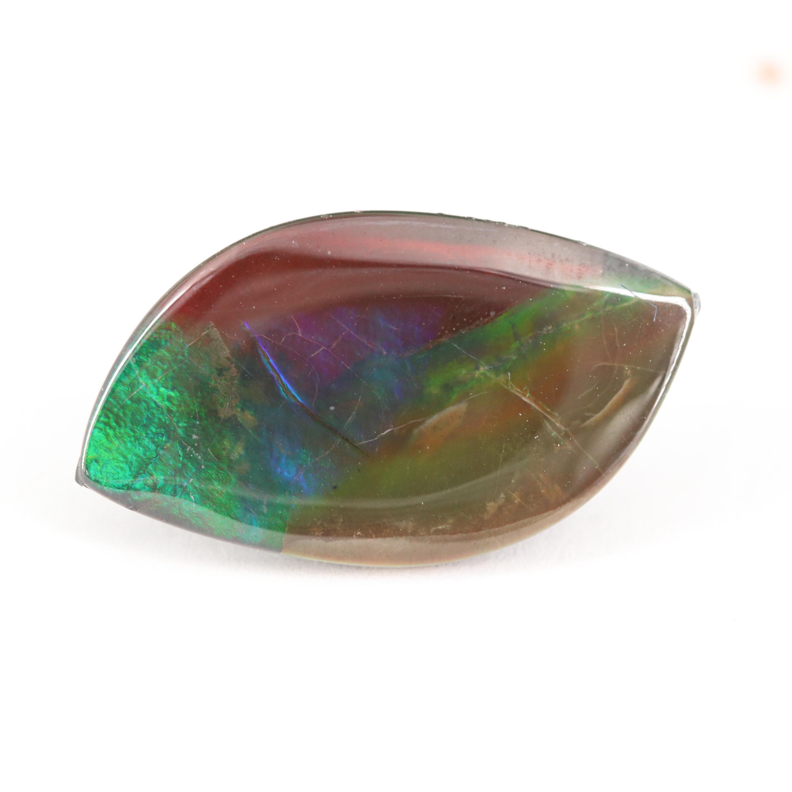 Loose Leaf Cabochon Ammolite Triplet