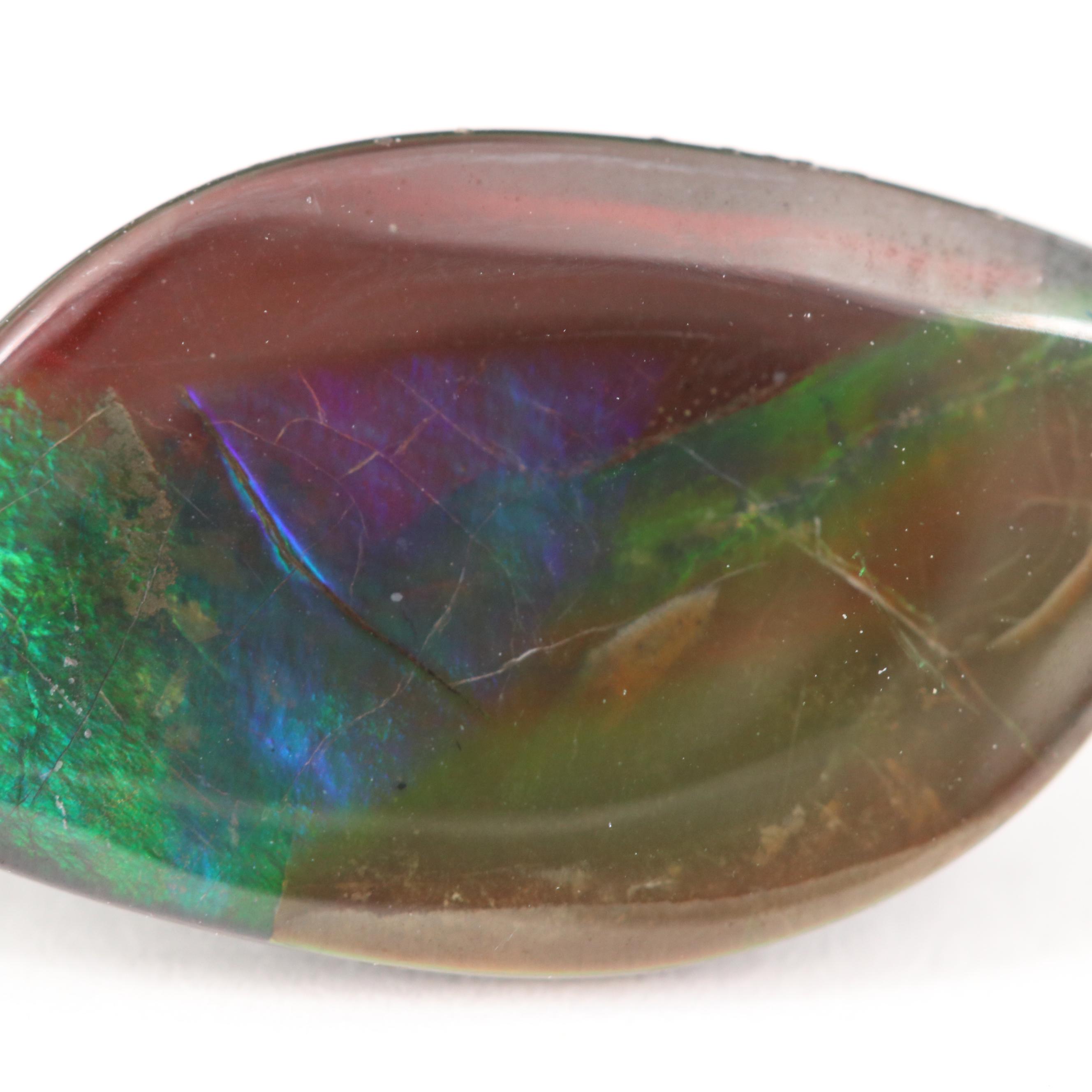 Loose Leaf Cabochon Ammolite Triplet