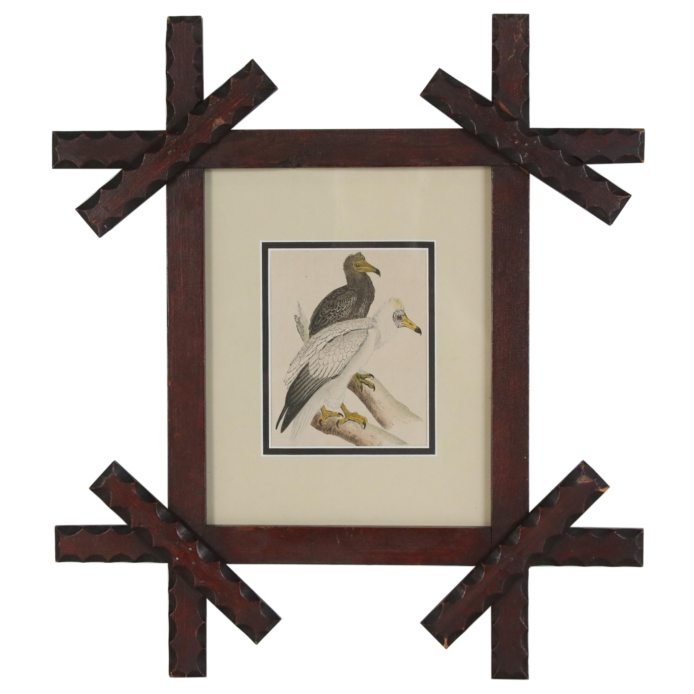 Colored Etching of French Vultures from "Illustrated Natural History," ca. 1880