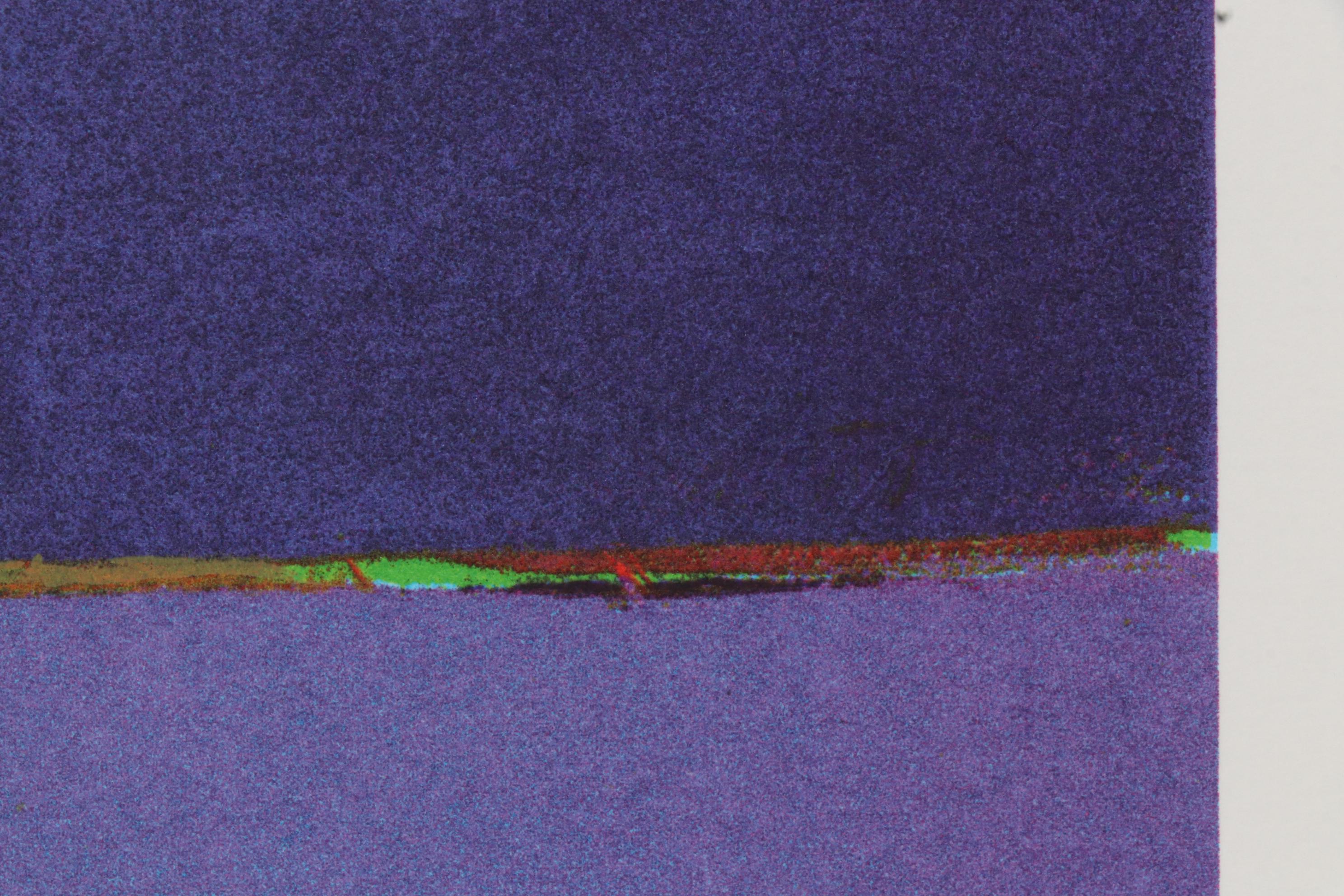 John Nieto Serigraph "Buffalo Dancing the Two-Step in the Sunset", 1996