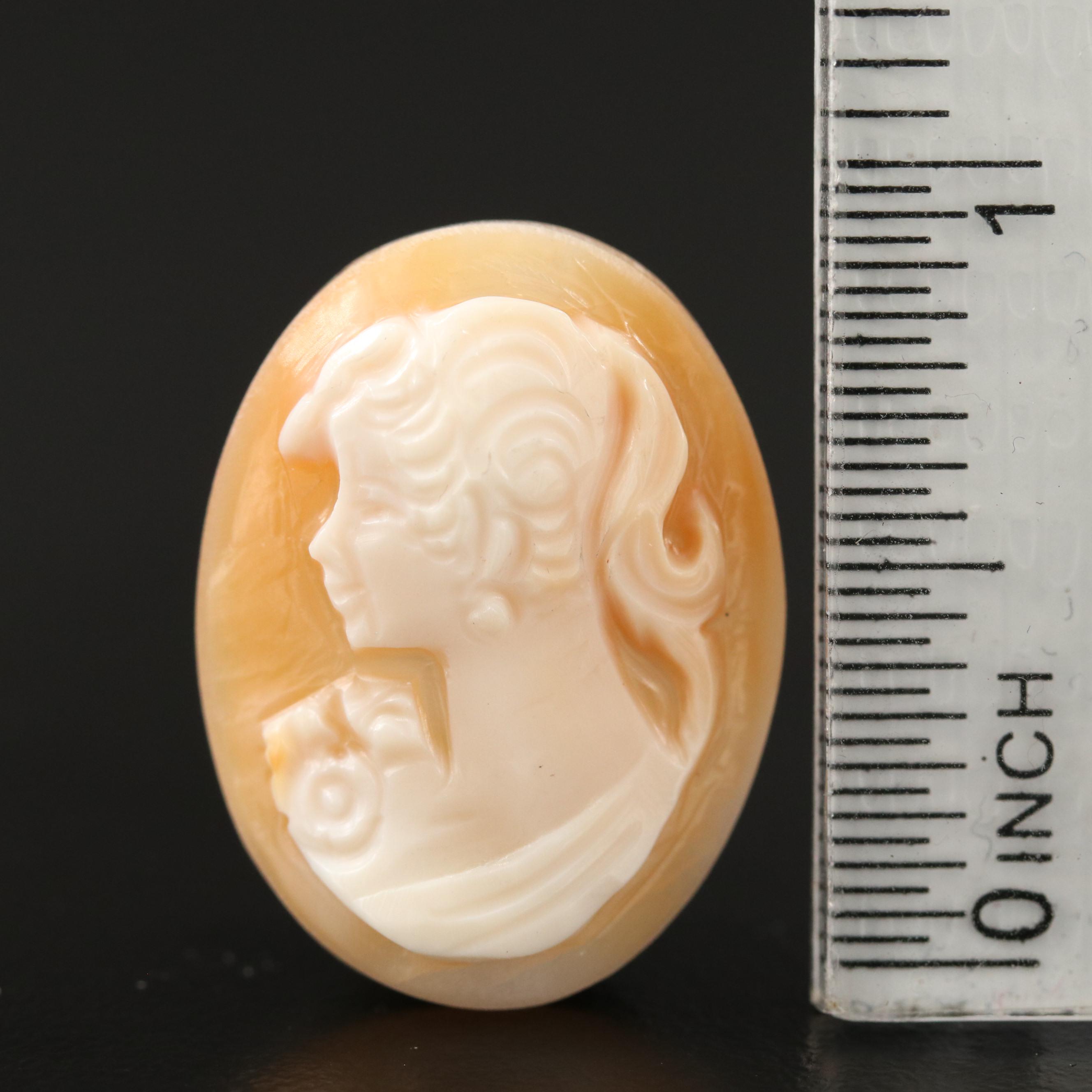 Loose 11.20 CT Shell Cameo