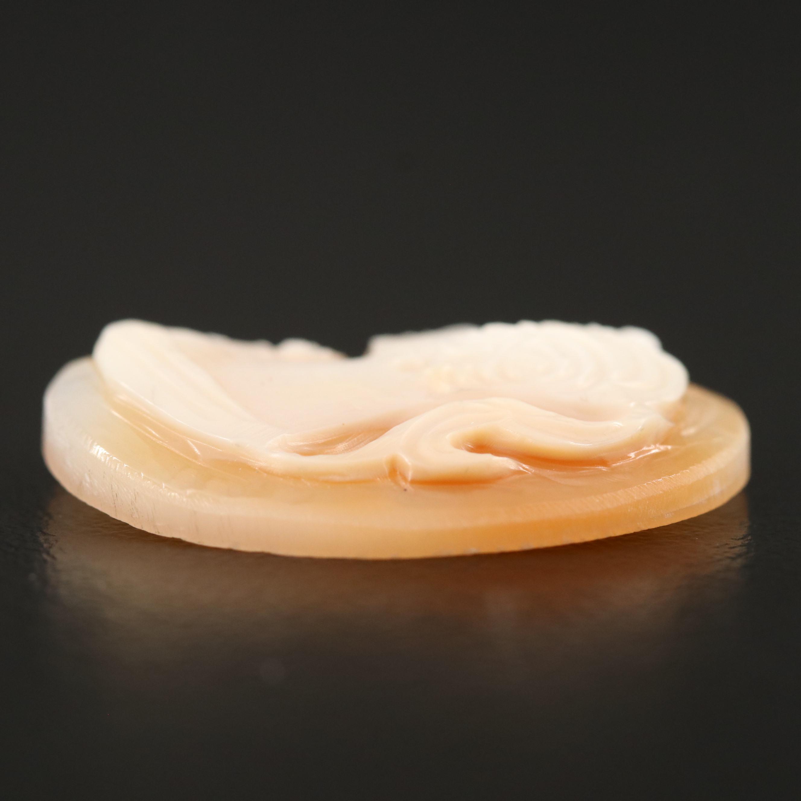 Loose 11.20 CT Shell Cameo