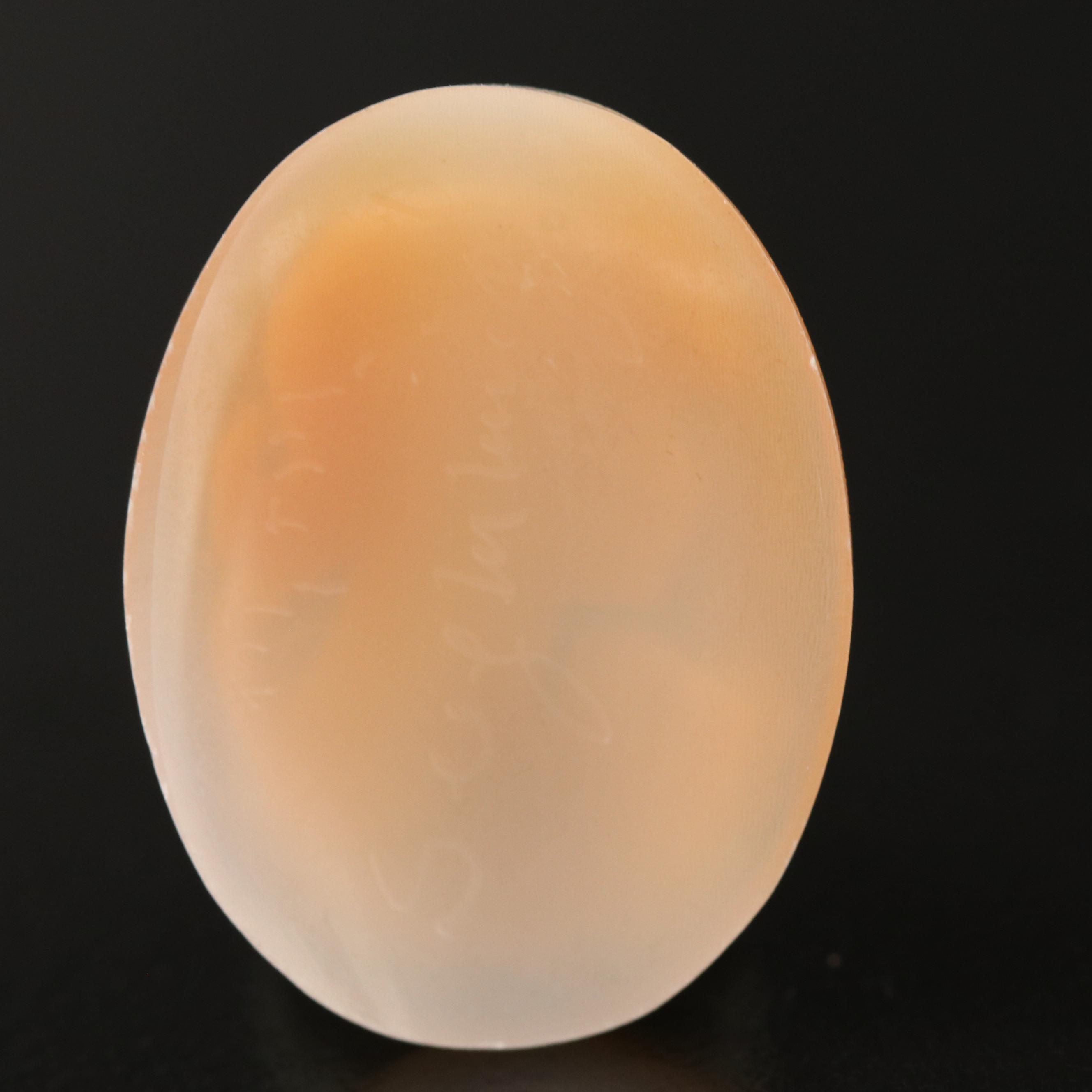 Loose 11.20 CT Shell Cameo