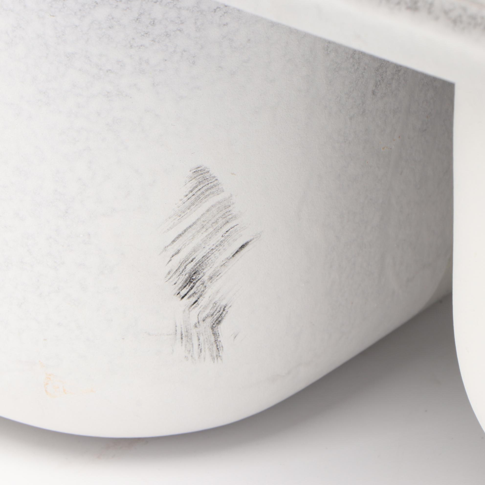 Blanco Stainless Steel Double Sink EBTH