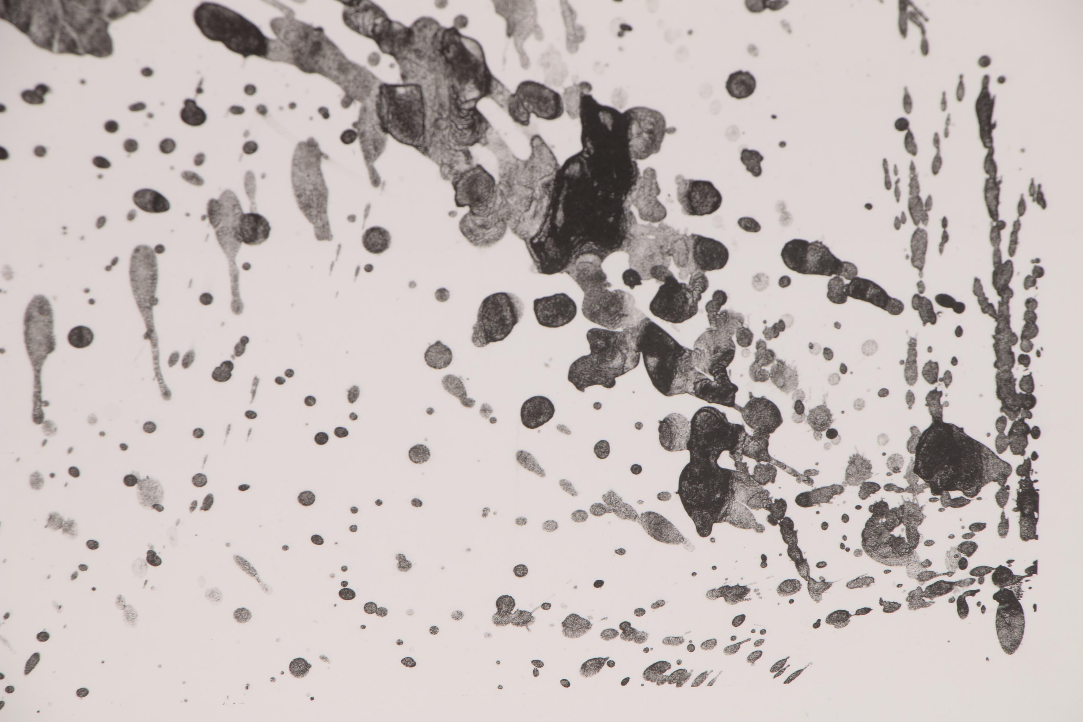 Sam Francis Abstract Lithograph, 1976