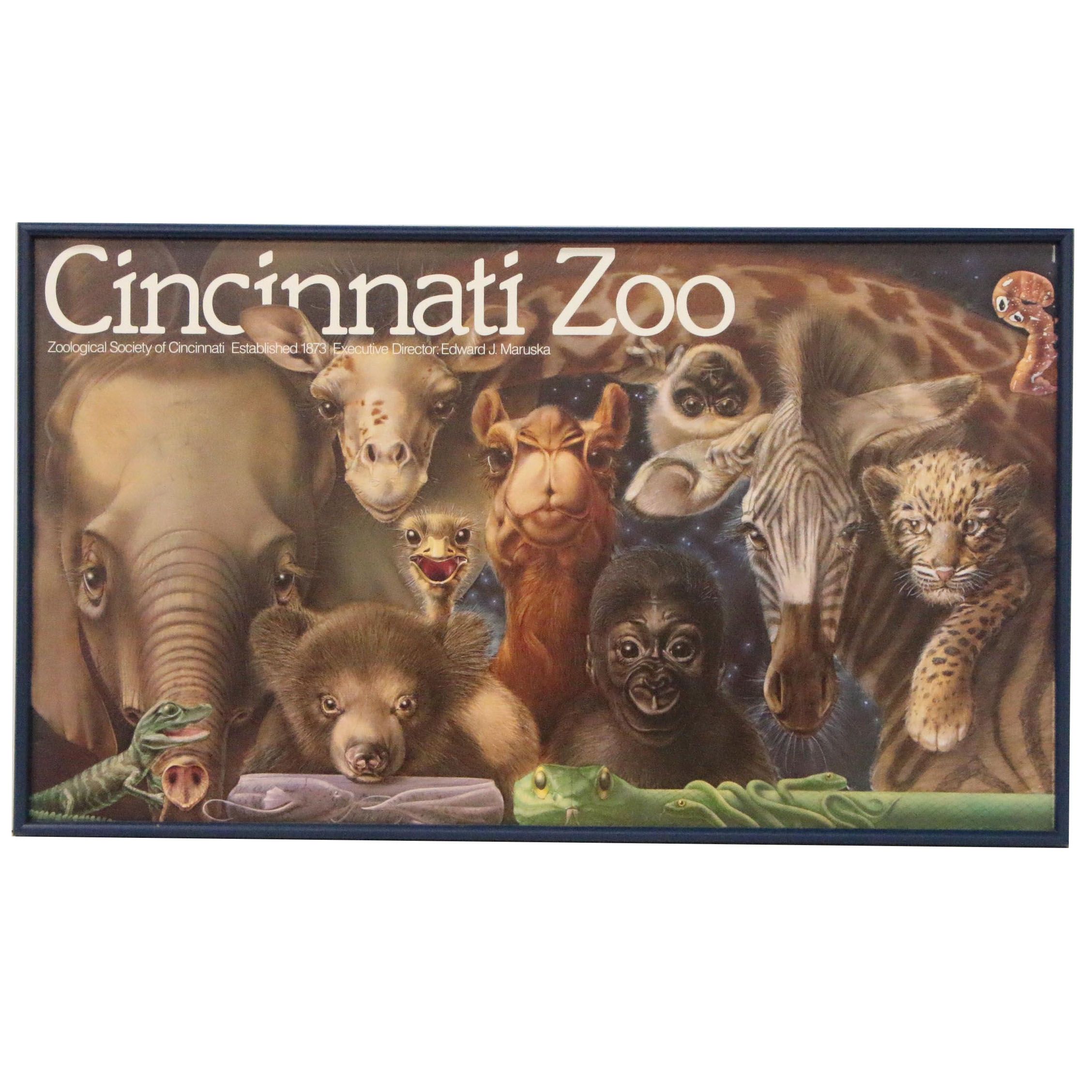 Cincinnati Zoo Poster after Lou Specker "New Ones"