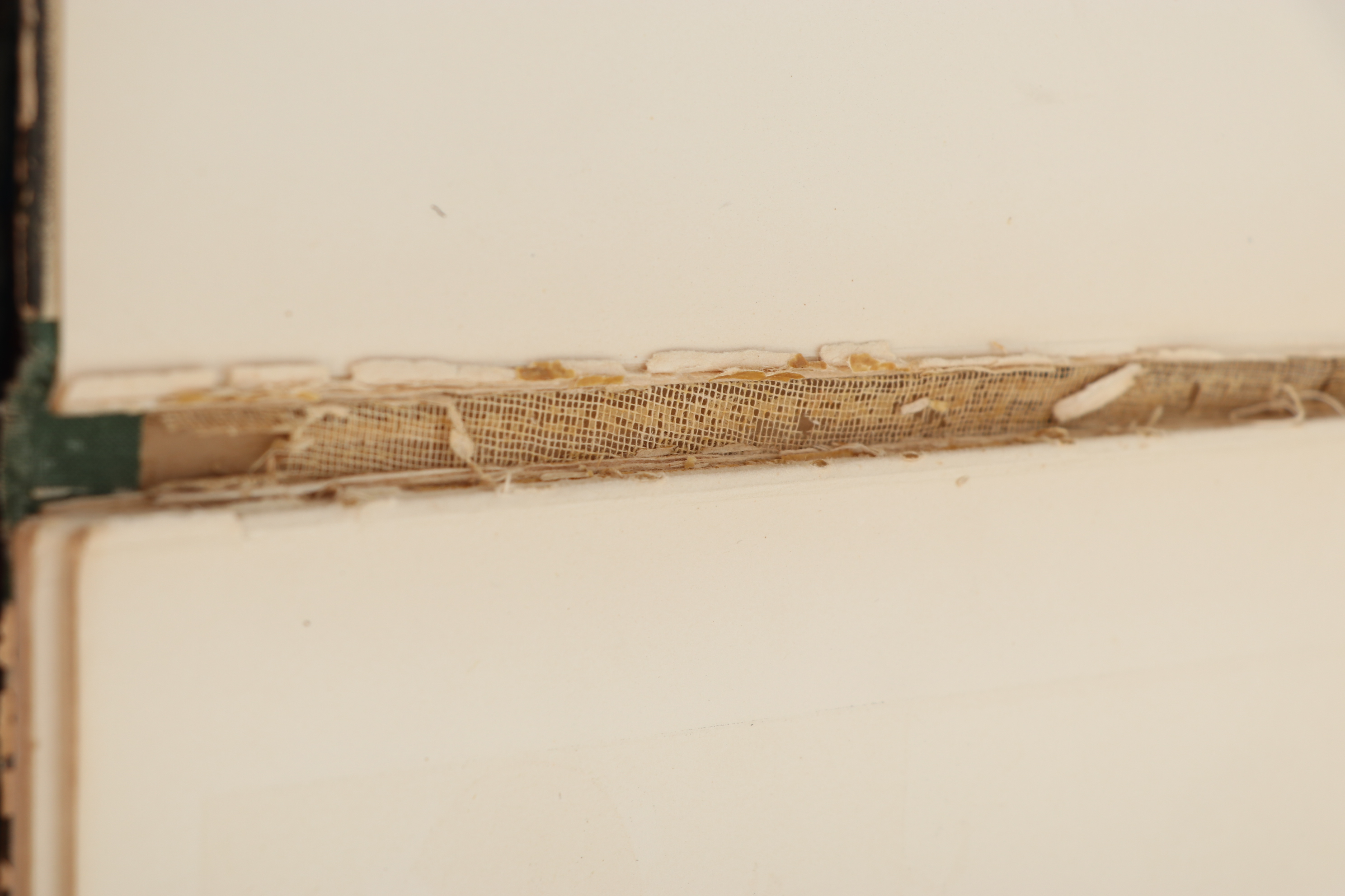 "The ECSK Library" Series with Other Children's Fiction and Poetry Books