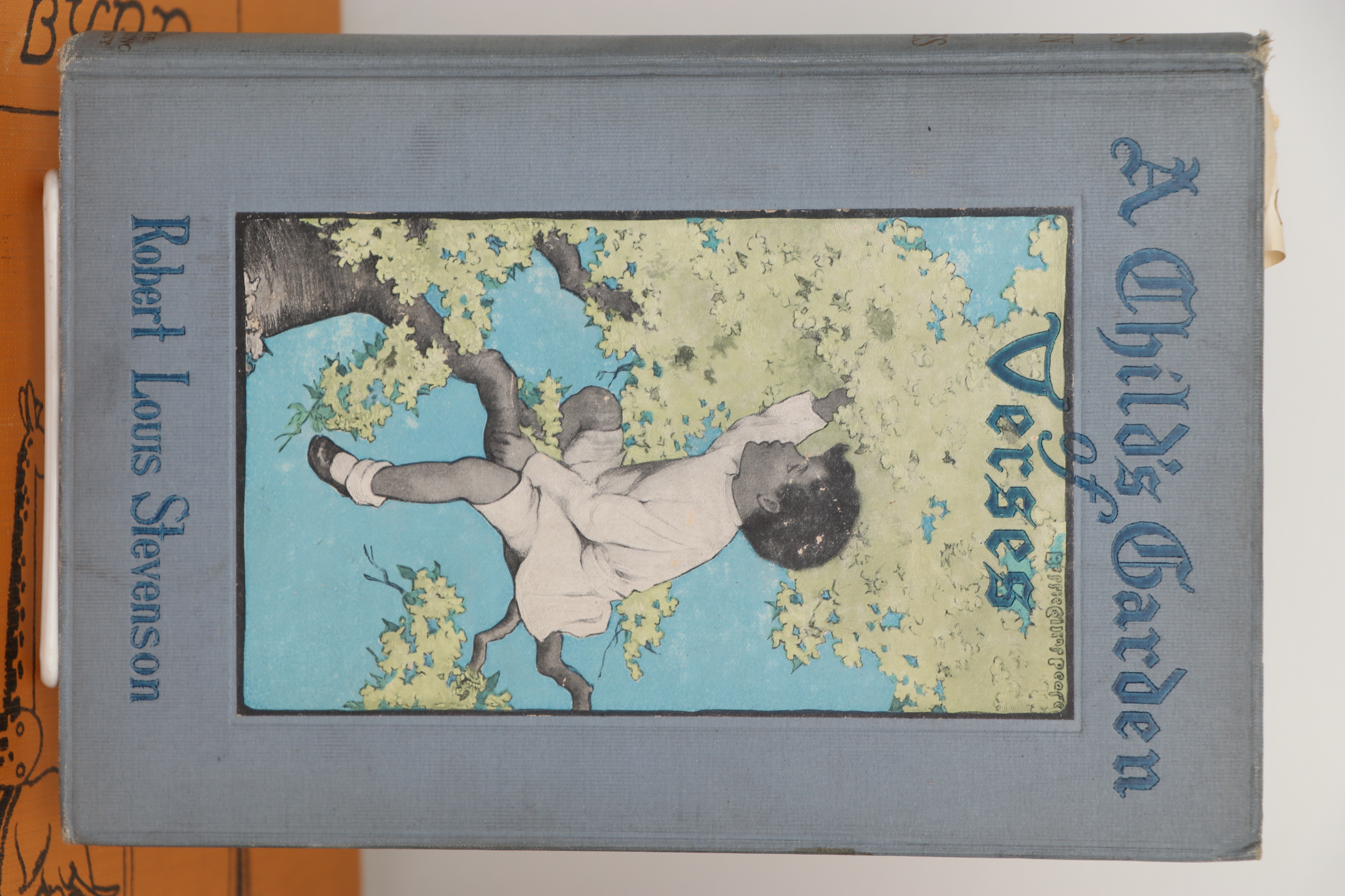 "The ECSK Library" Series with Other Children's Fiction and Poetry Books