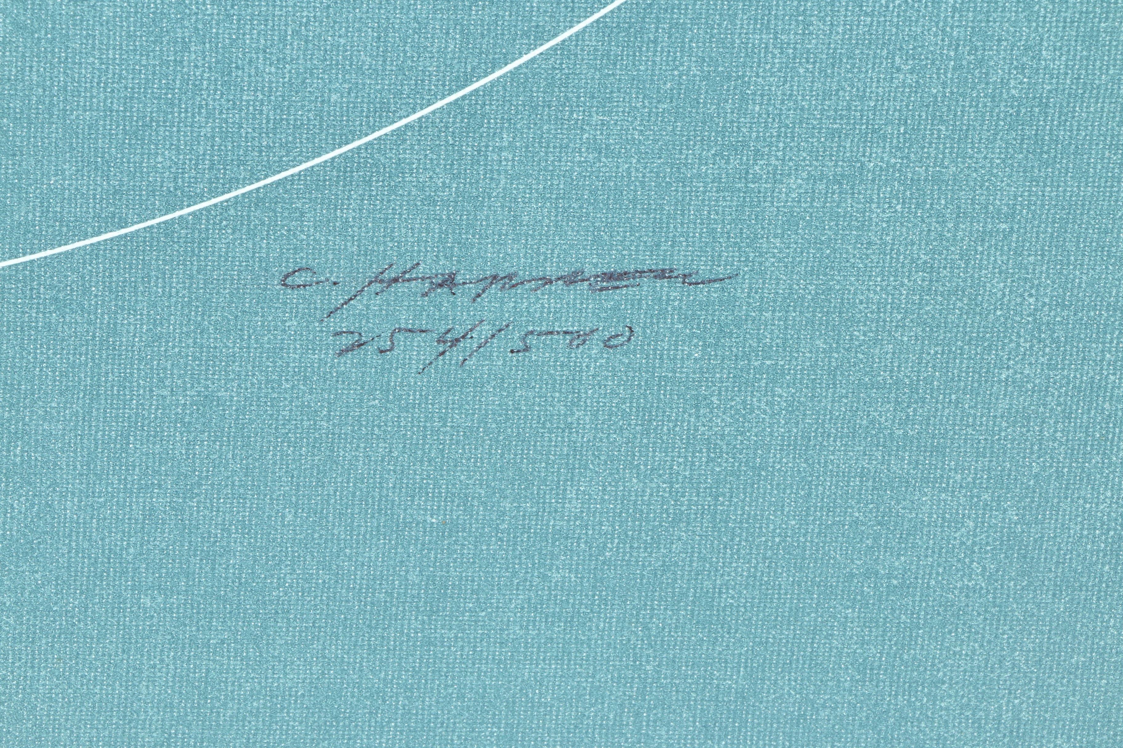 Charley Harper Lithograph "Anhinga"