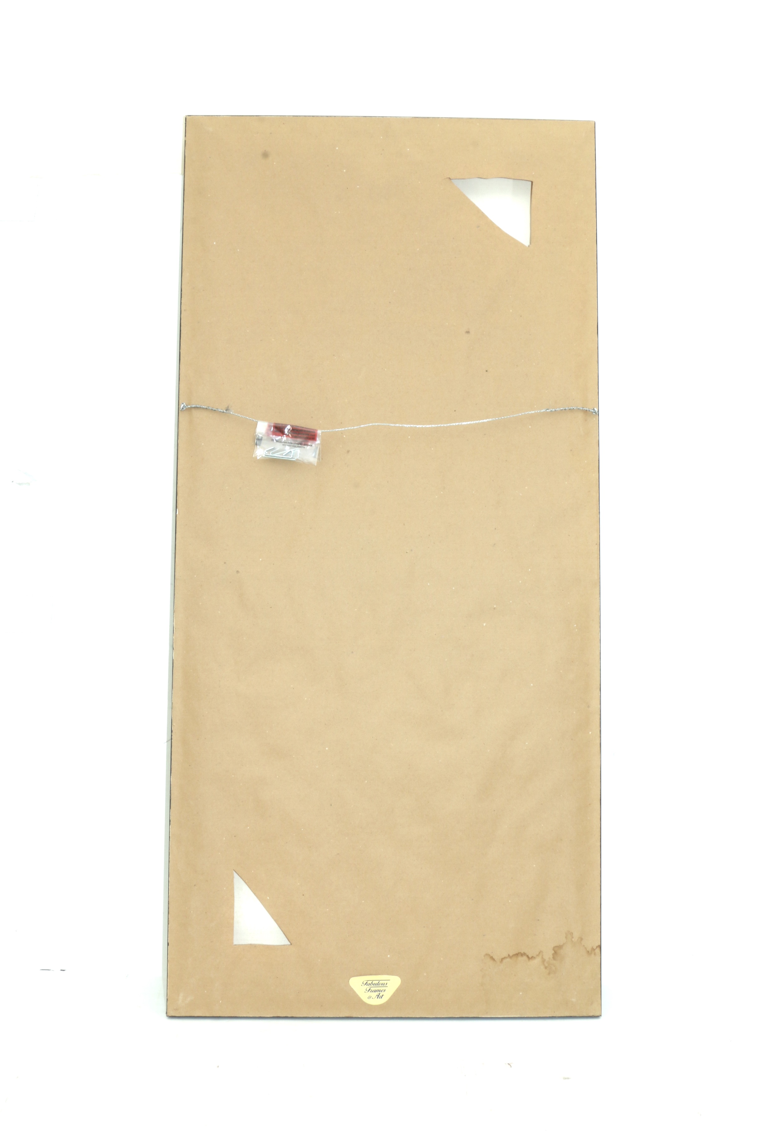 Charley Harper Lithograph "Anhinga"