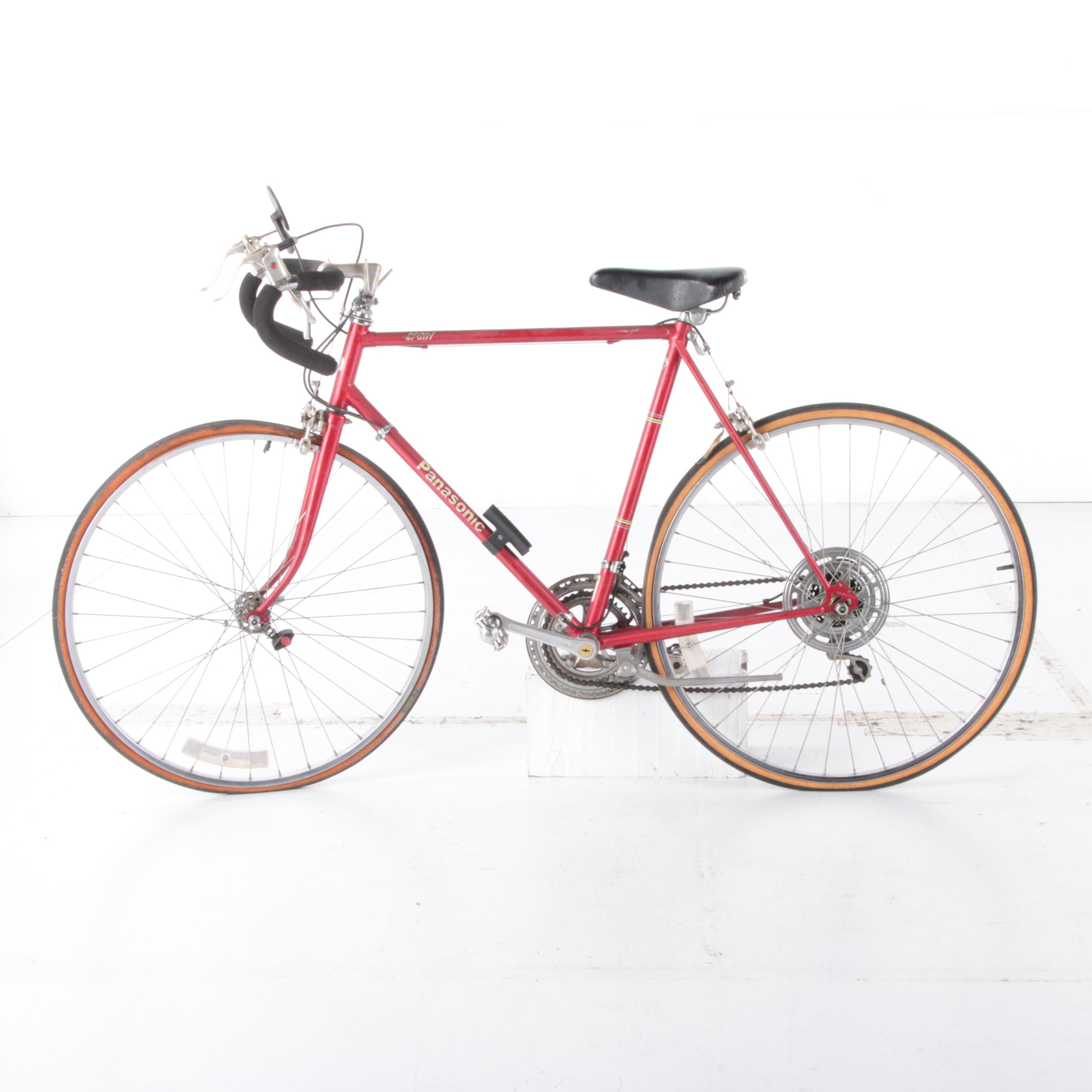 Panasonic Sport 22" Men's 12-Speed Bicycle