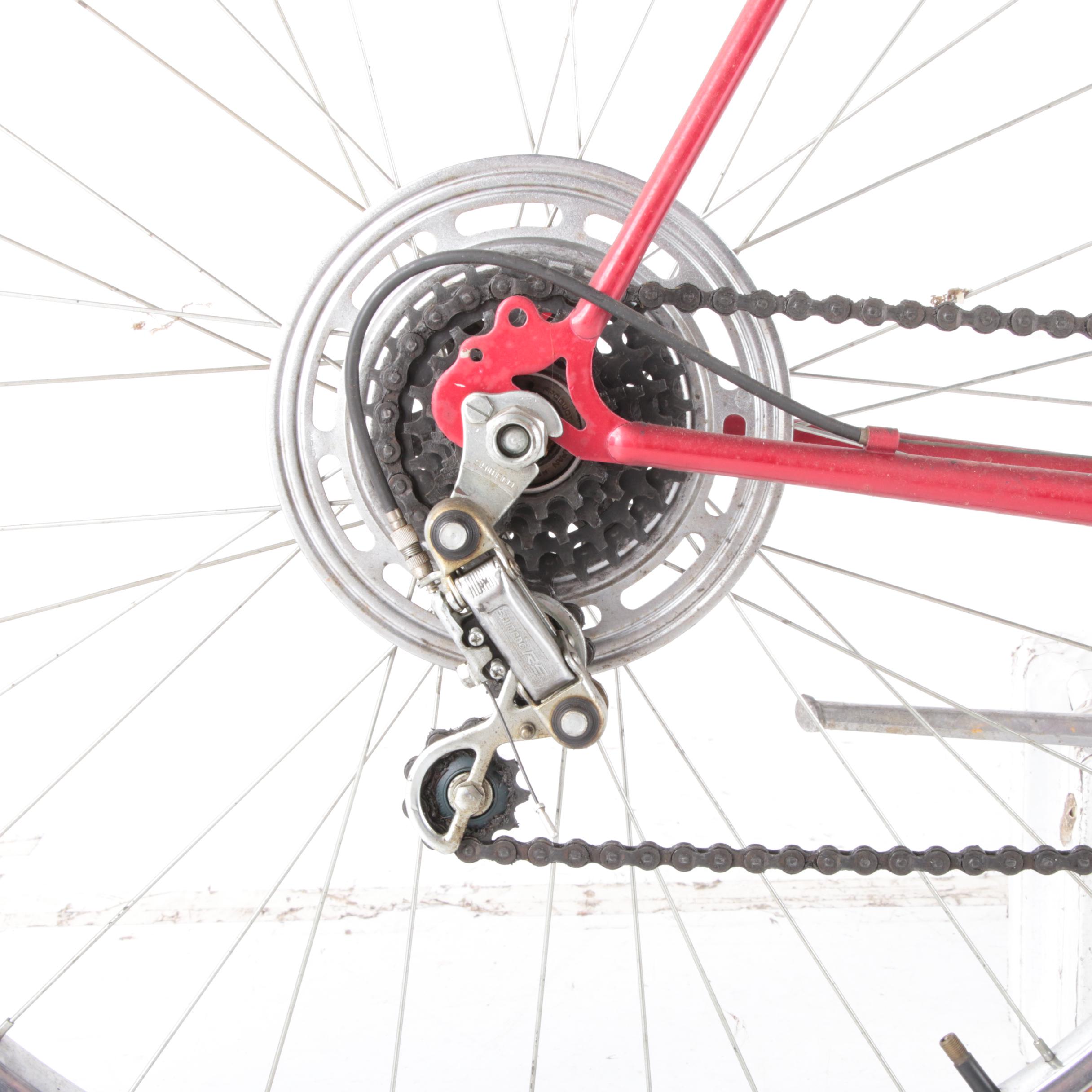 Panasonic Sport 22" Men's 12-Speed Bicycle