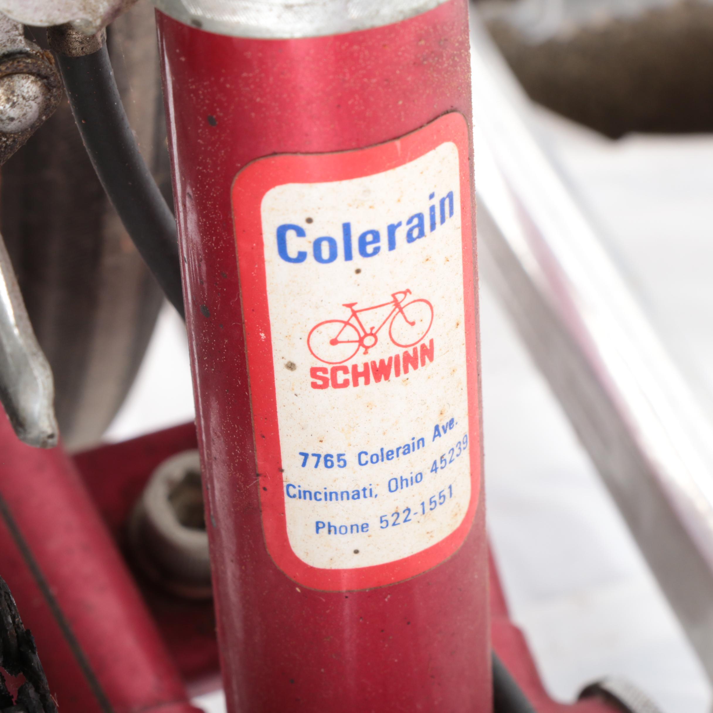 Panasonic Sport 22" Men's 12-Speed Bicycle