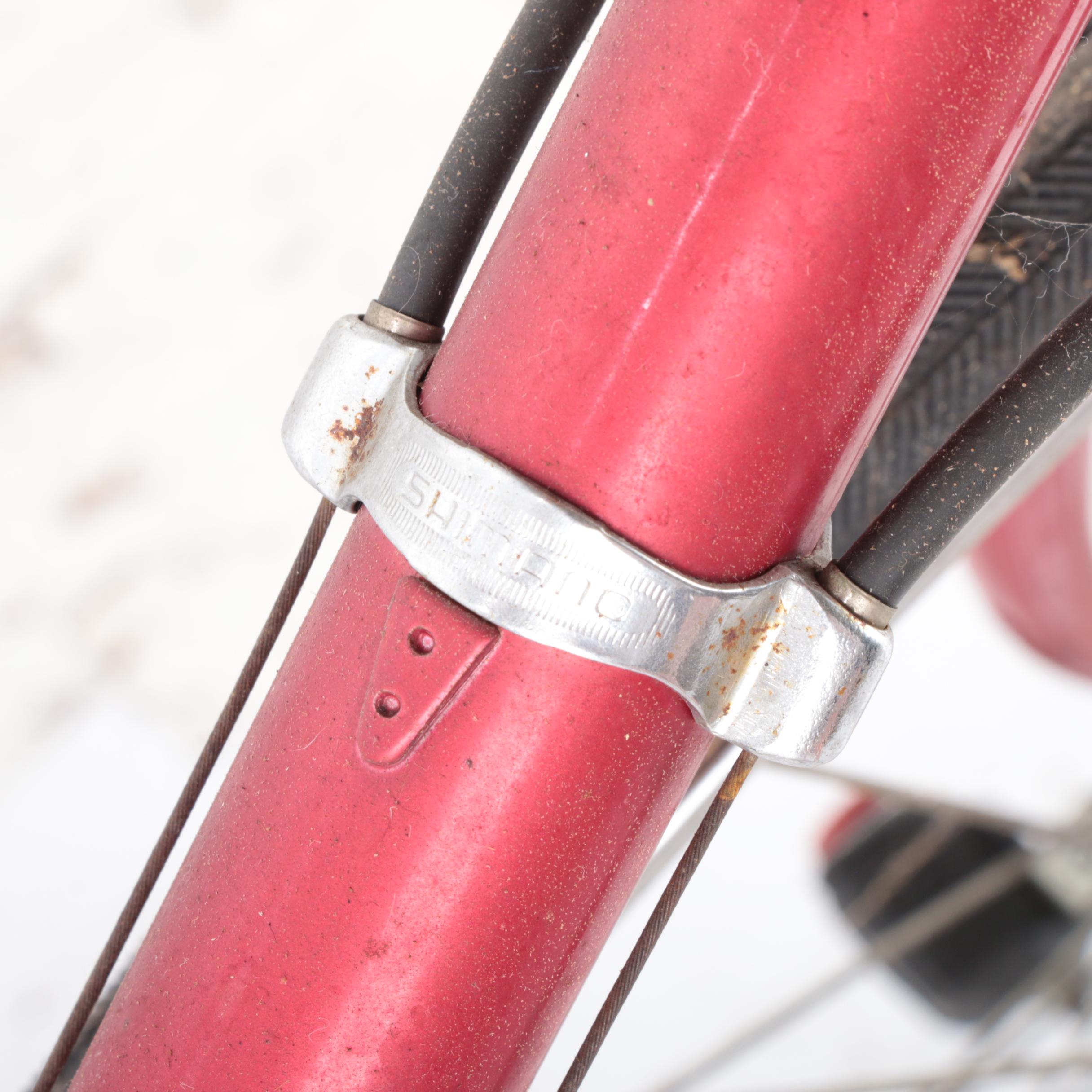 Panasonic Sport 22" Men's 12-Speed Bicycle