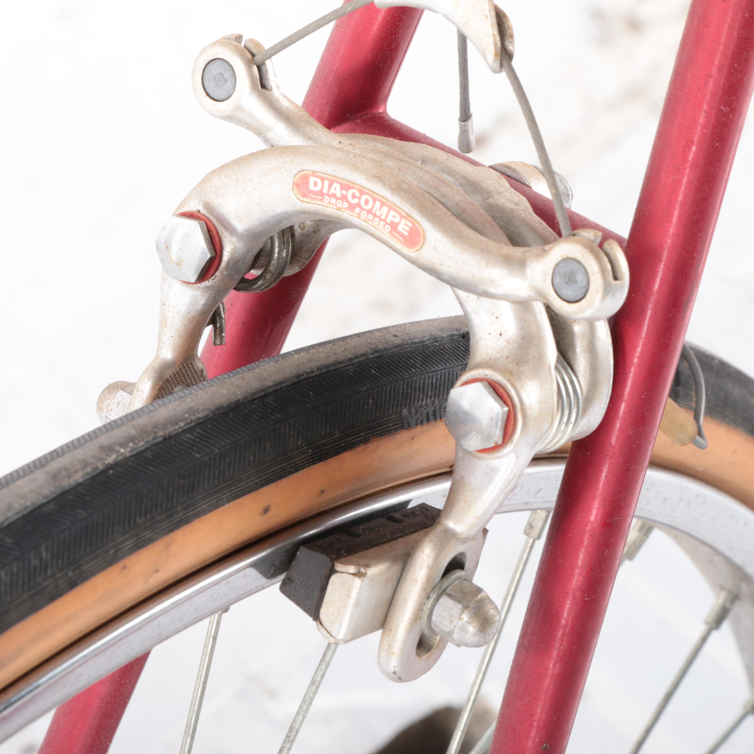 Panasonic Sport 22" Men's 12-Speed Bicycle