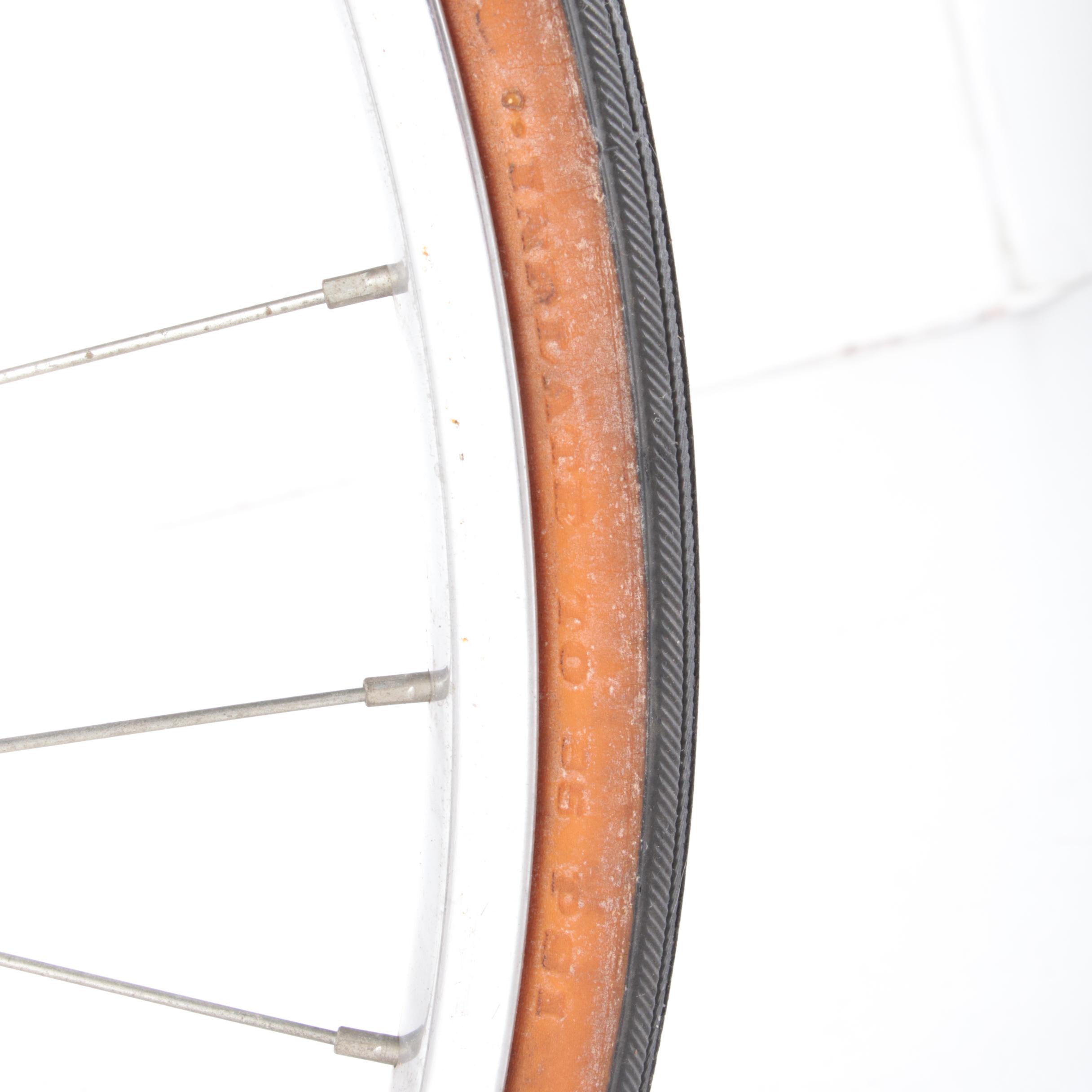 Panasonic Sport 22" Men's 12-Speed Bicycle