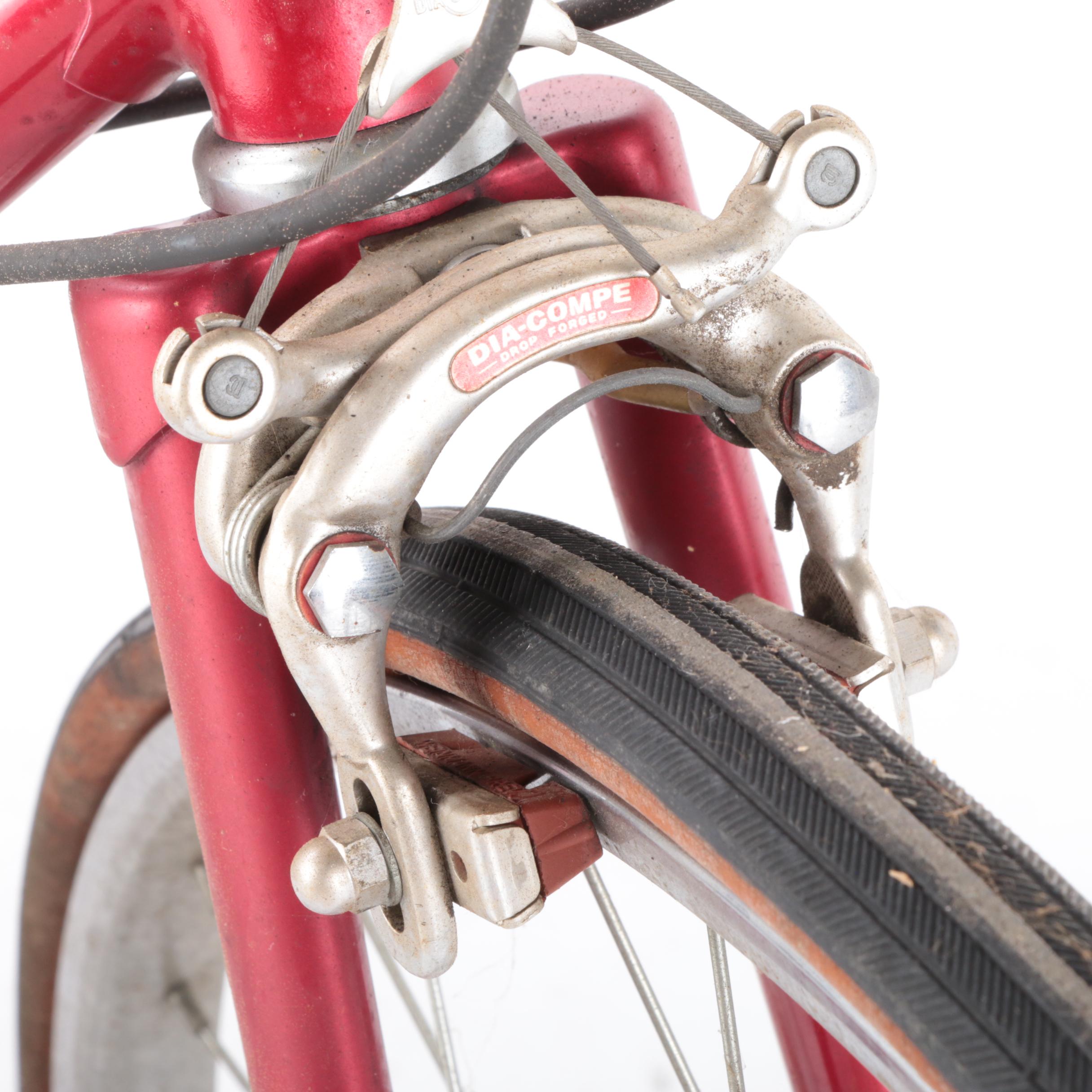 Panasonic Sport 22" Men's 12-Speed Bicycle