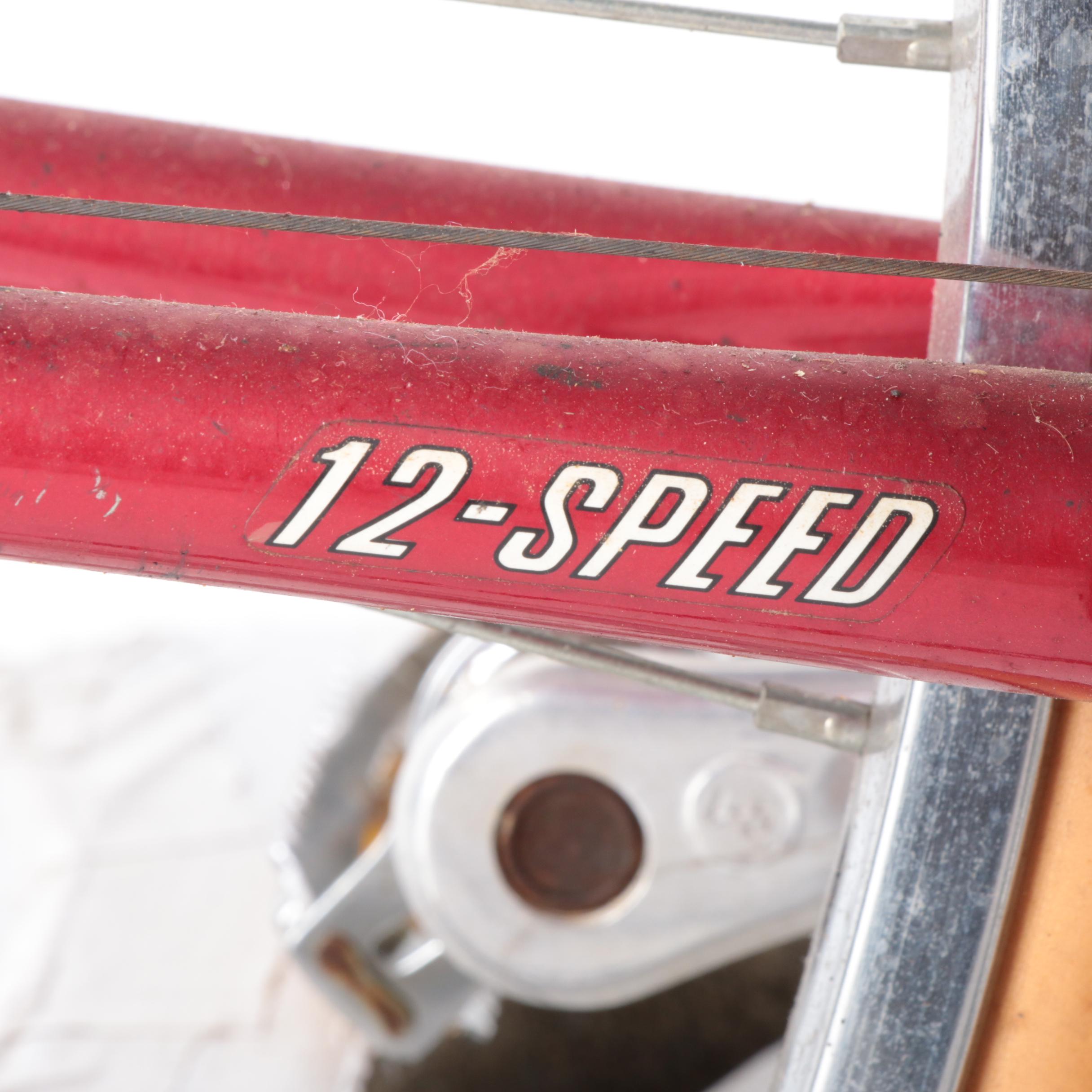 Panasonic Sport 22" Men's 12-Speed Bicycle