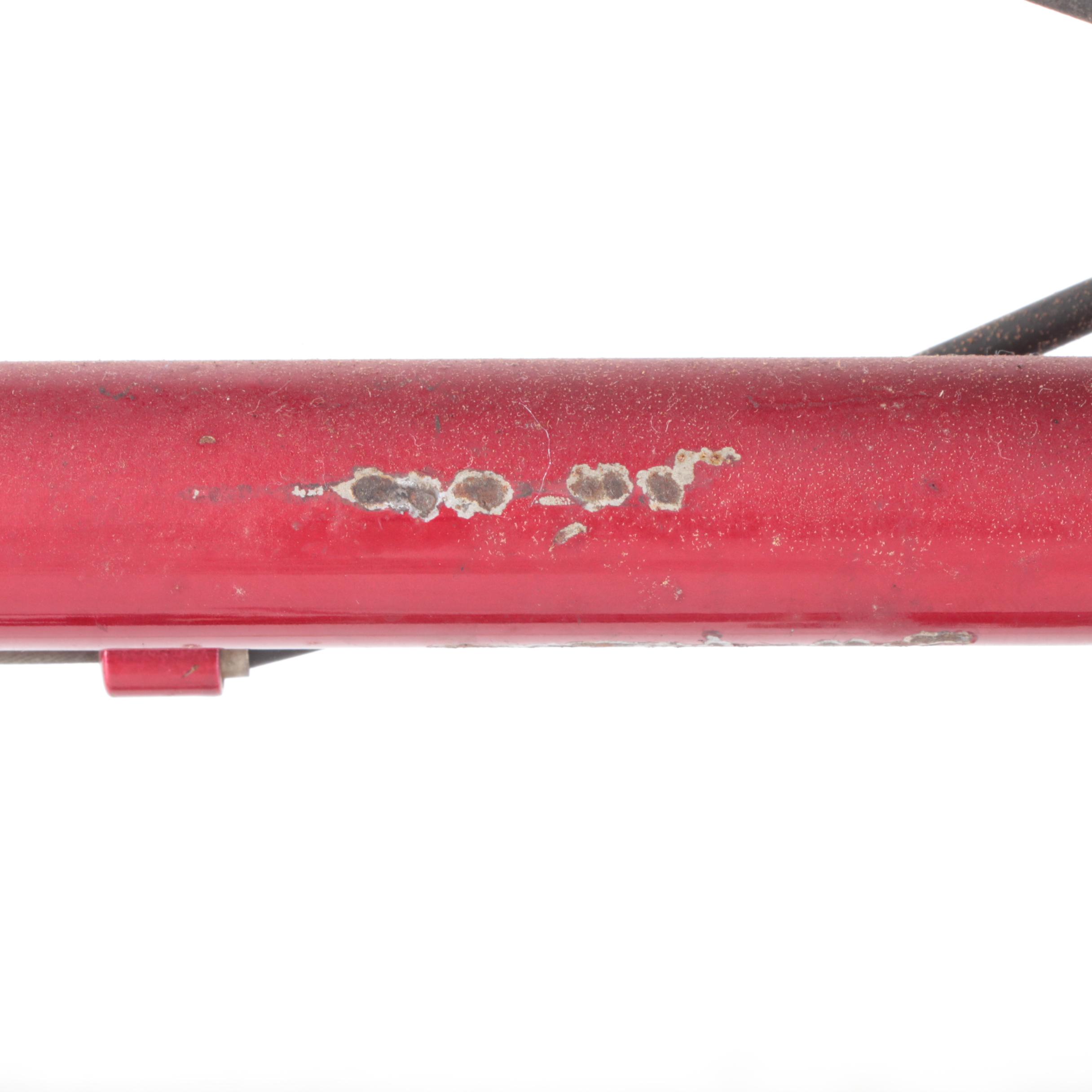 Panasonic Sport 22" Men's 12-Speed Bicycle